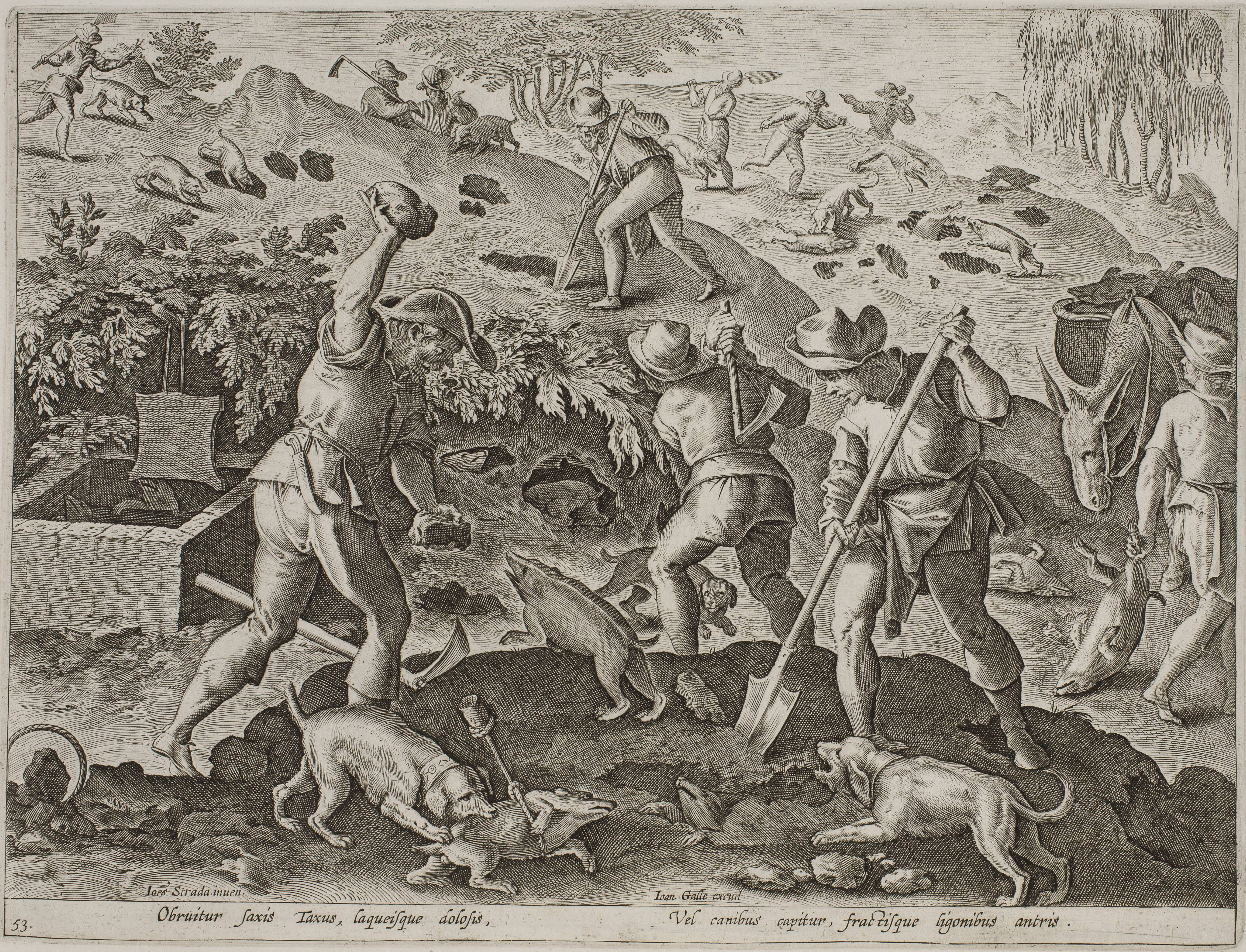 Badger hunt