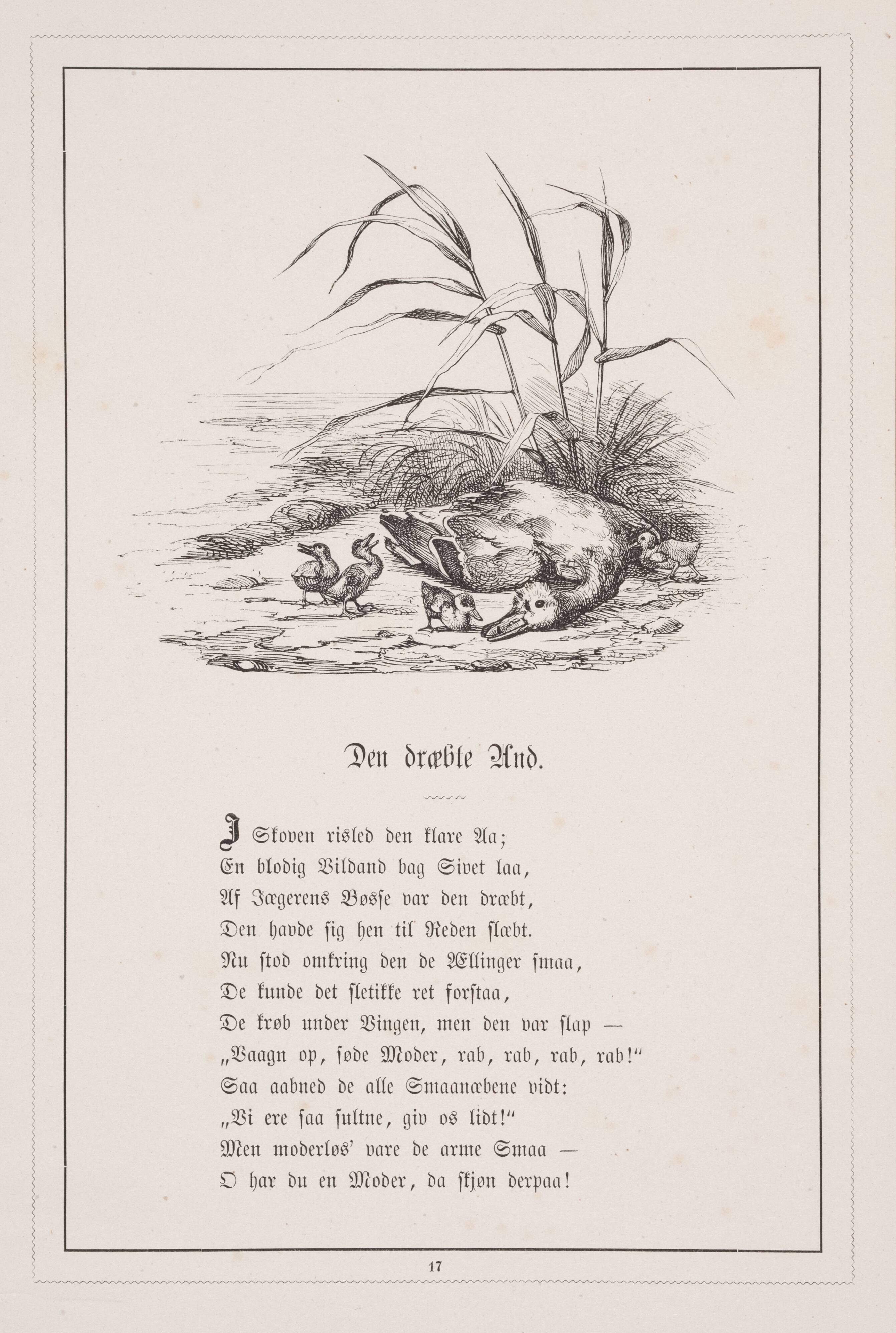 Den dræbte And. Illustration til H.V. Kaalund, "Fabler for Børn"