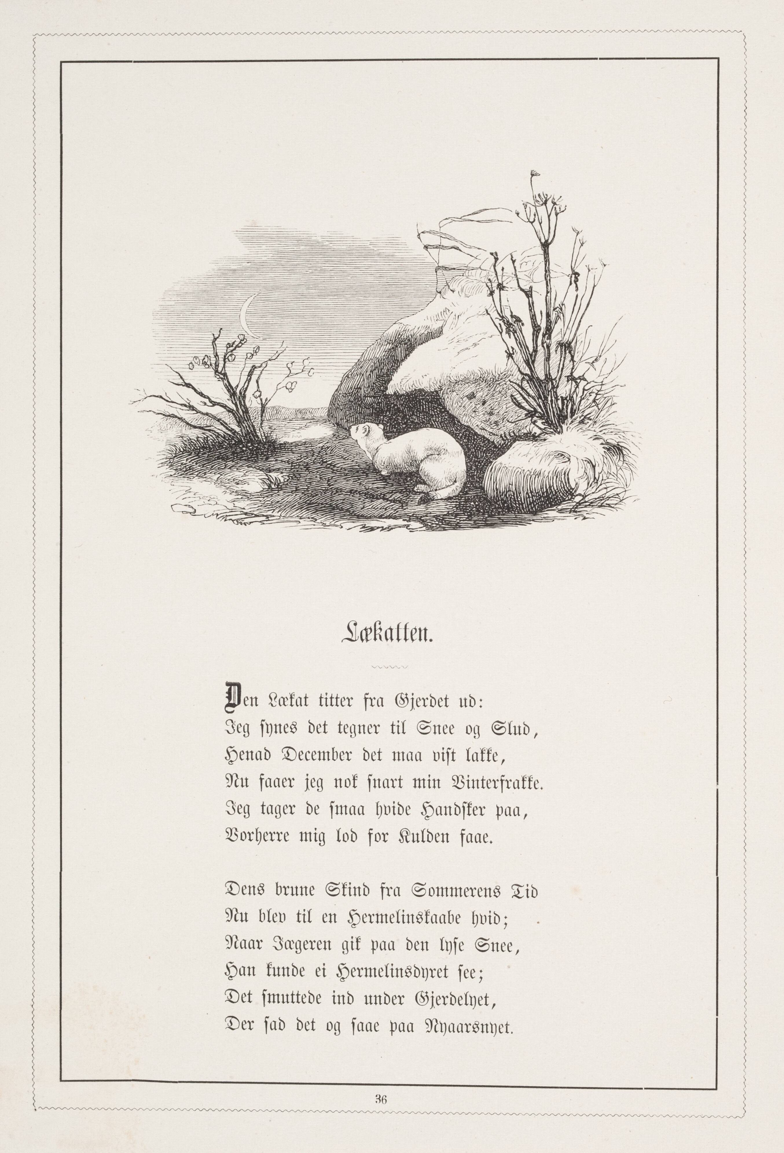 Lækatten. Illustration til H.V. Kaalund, "Fabler for Børn"