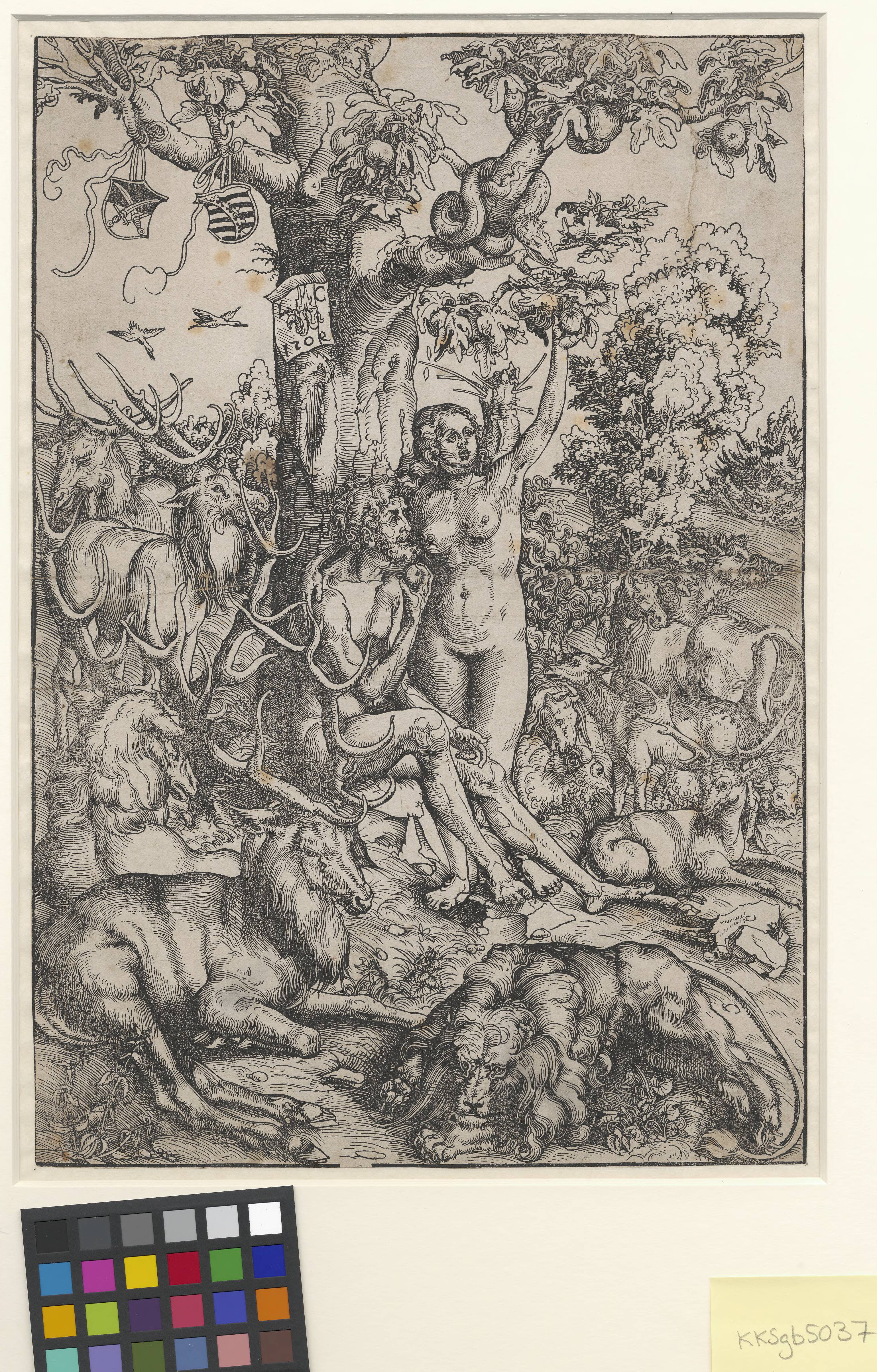 The Fall of Man