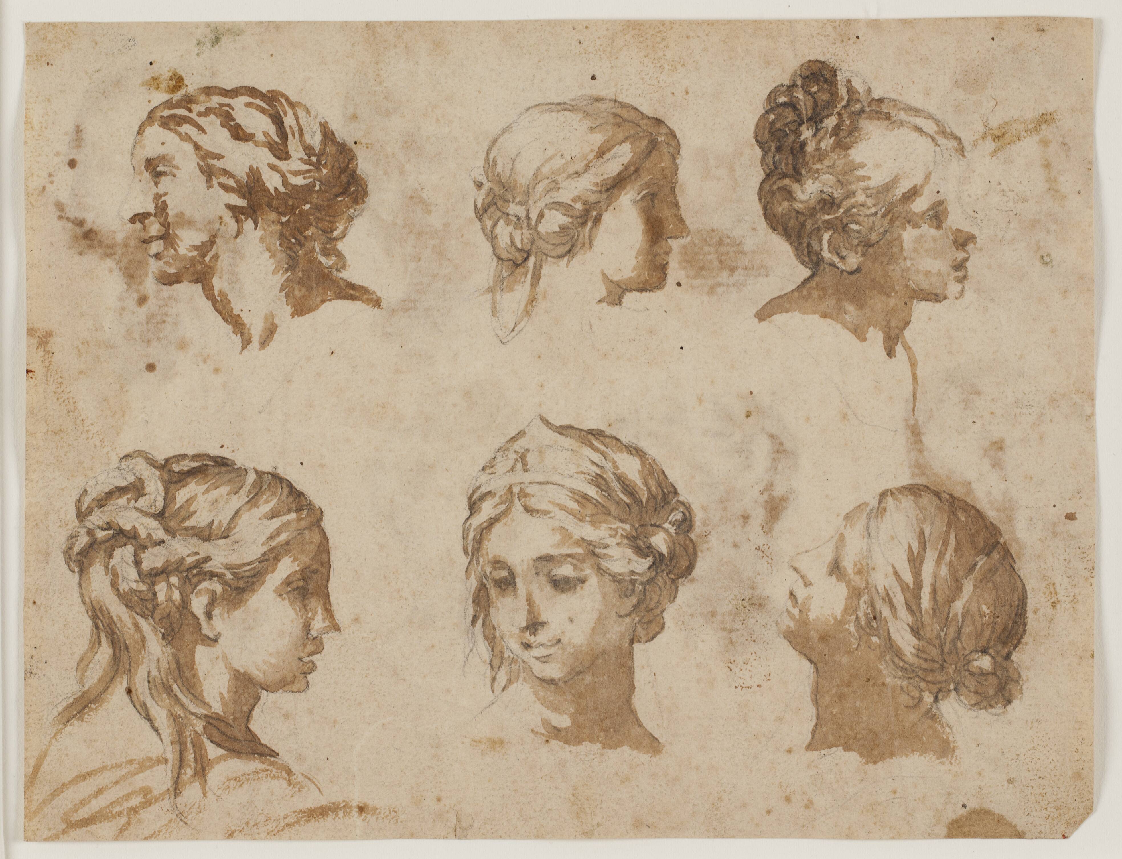 Six studies of female heads