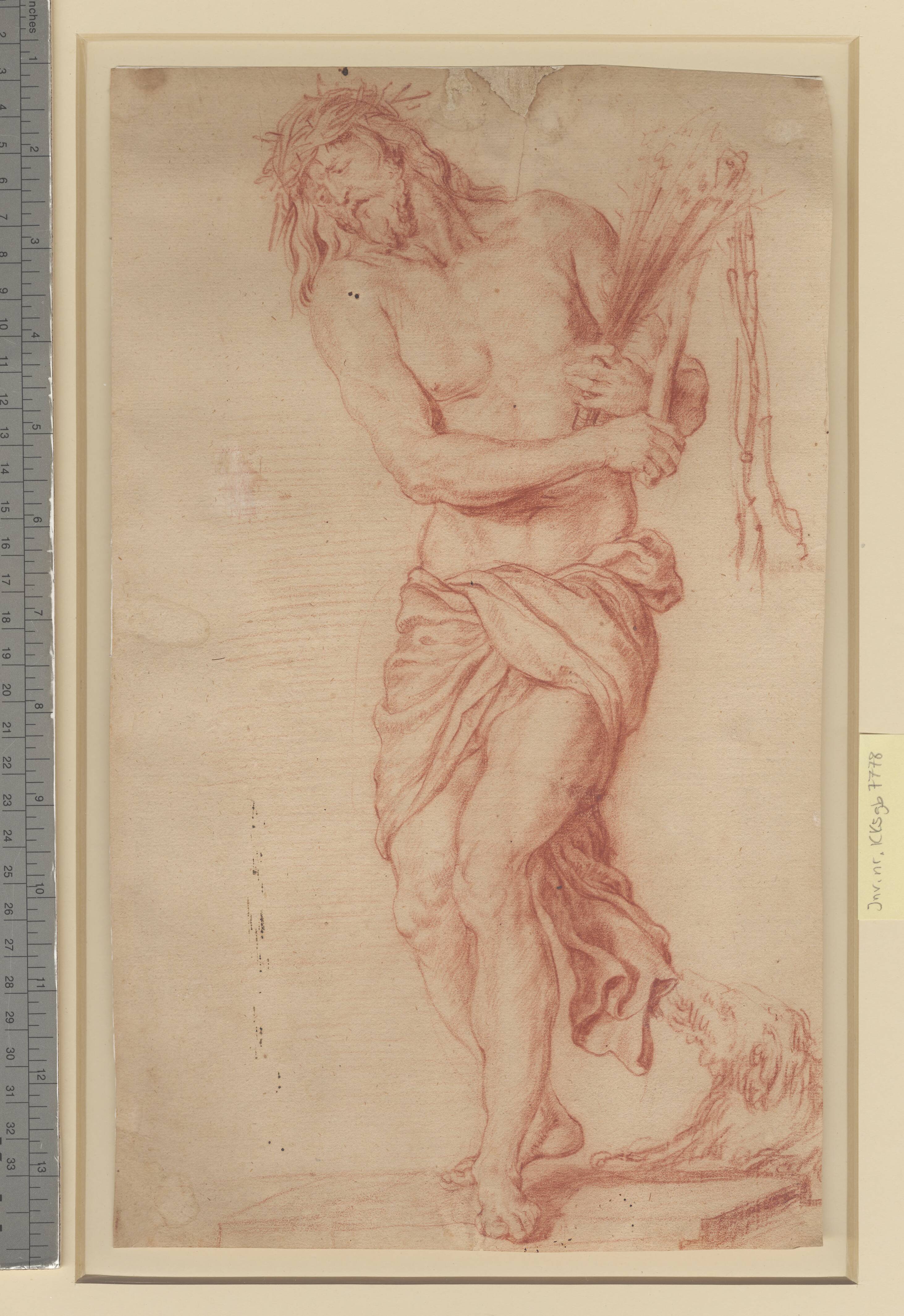 Ecce Homo. Stående, lidende Kristus med ris og knudepisk samt tornekrone på hovedet