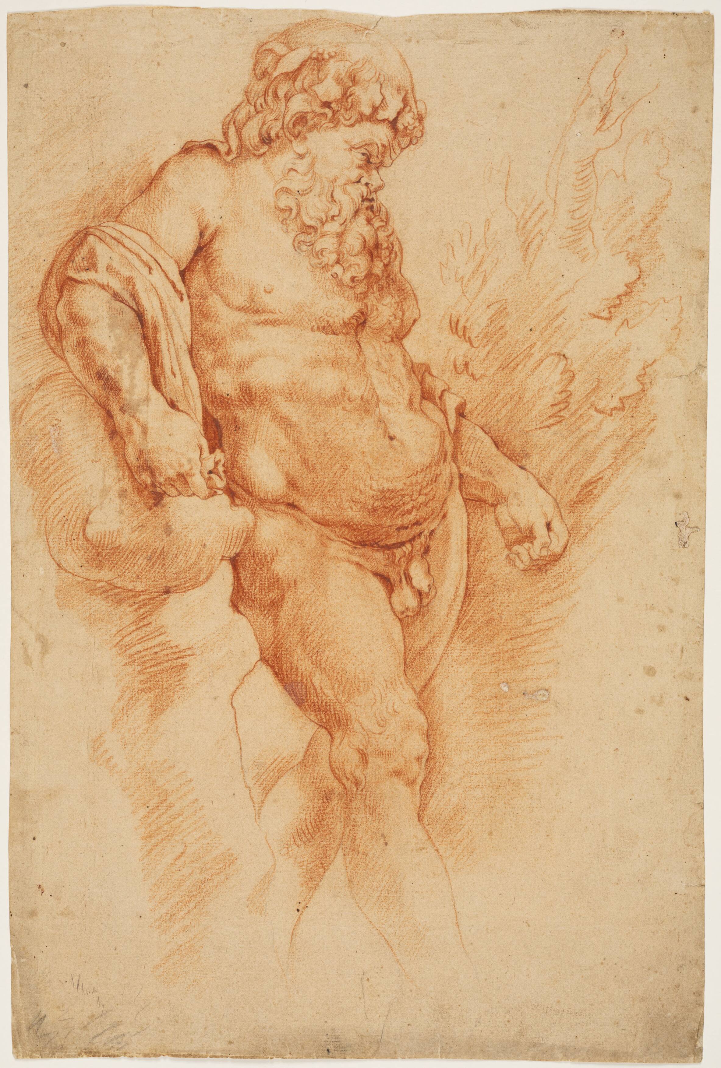 Bacchus