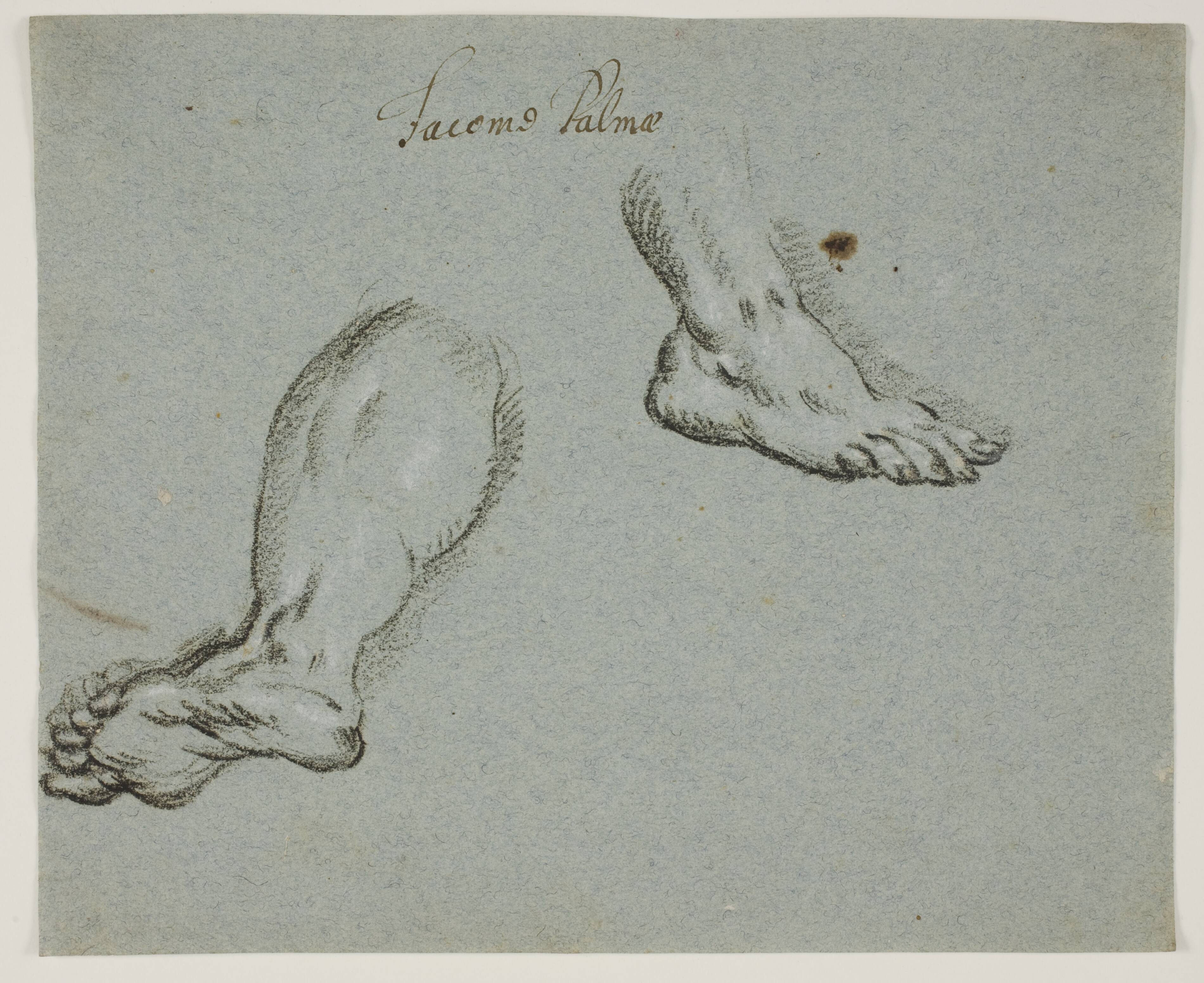 A left leg and a right foot