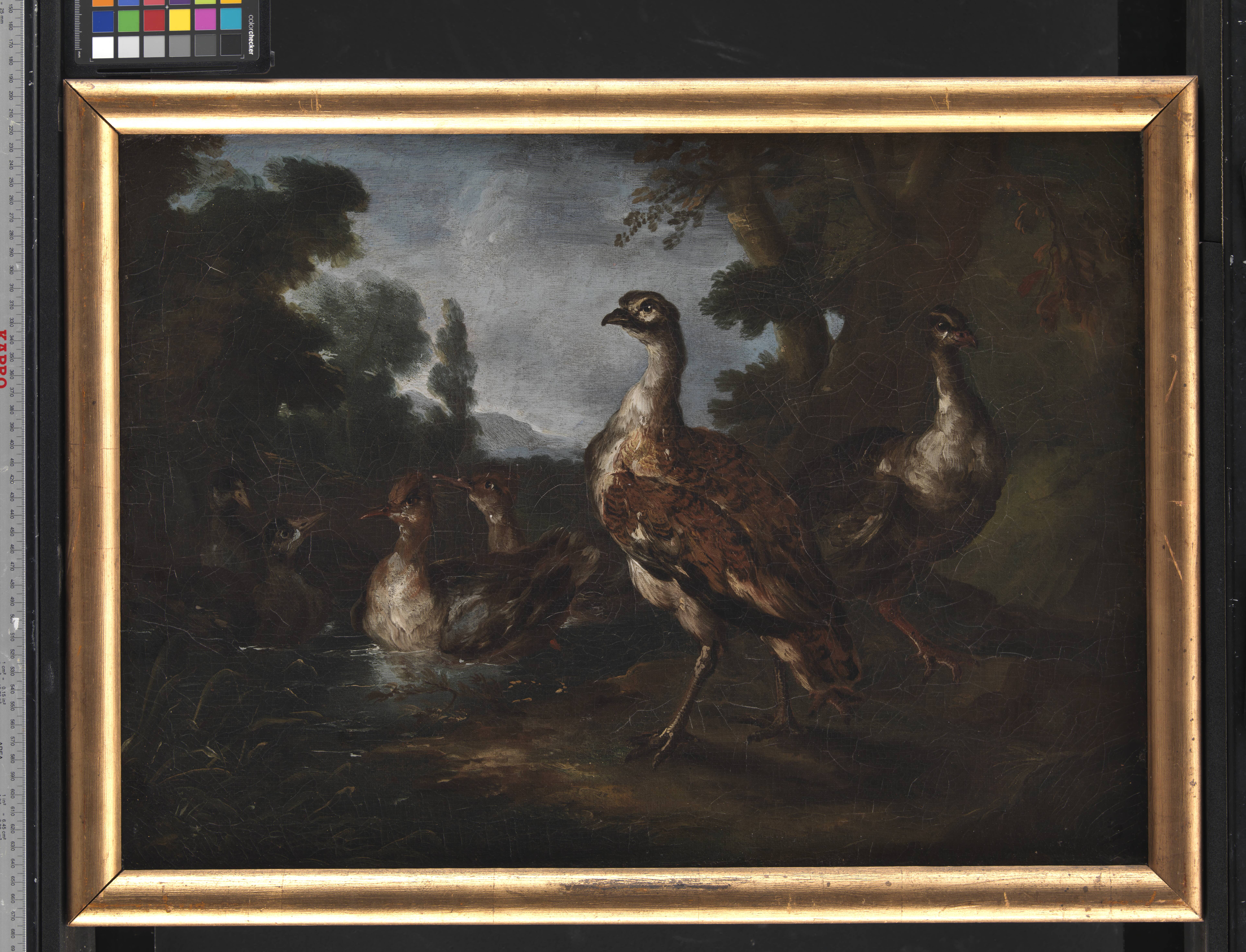 Landscape with Birds