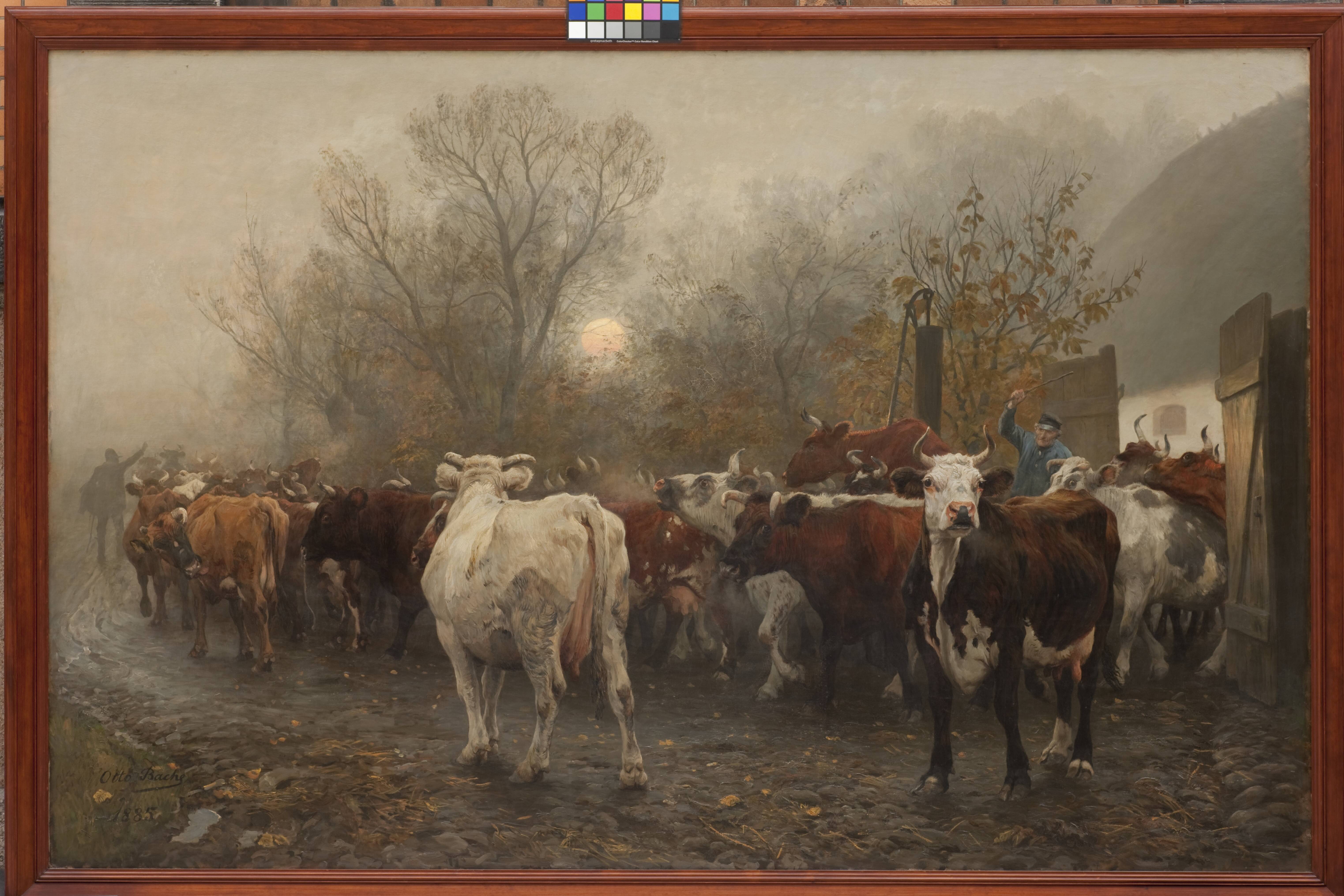 Driving Cows out of the Cowhouse