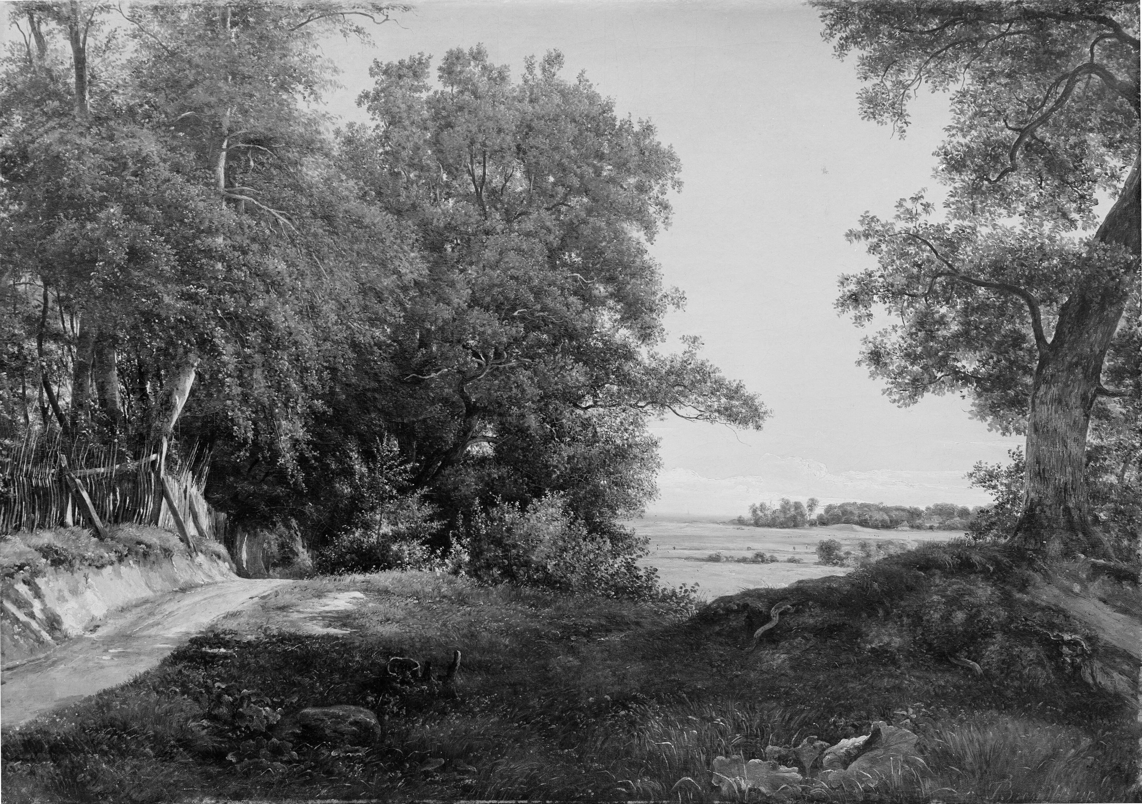 A Summer Morning beside the Deer Park Fence in Ordrup Spinney, North of Copenhagen