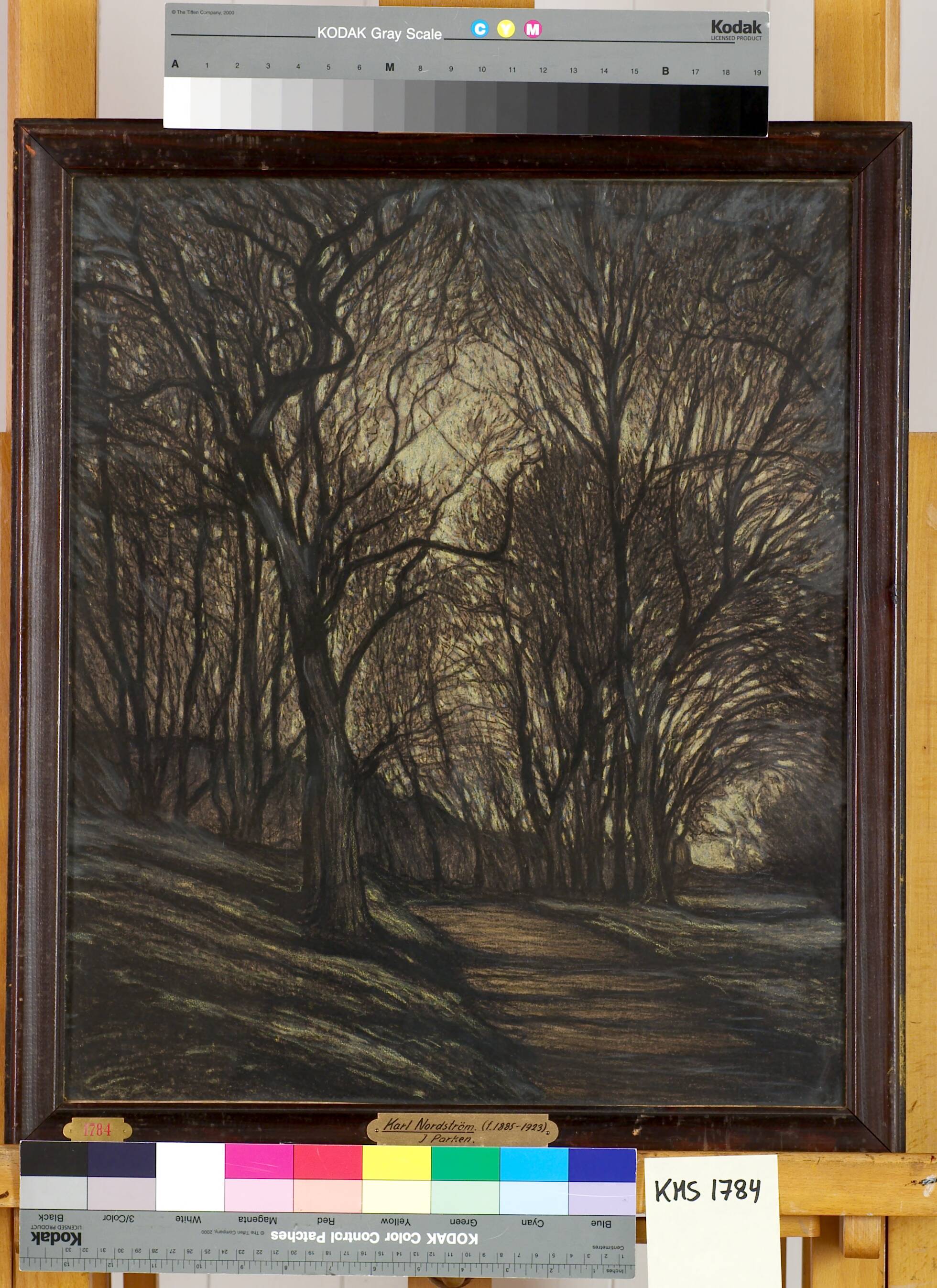 In the Park