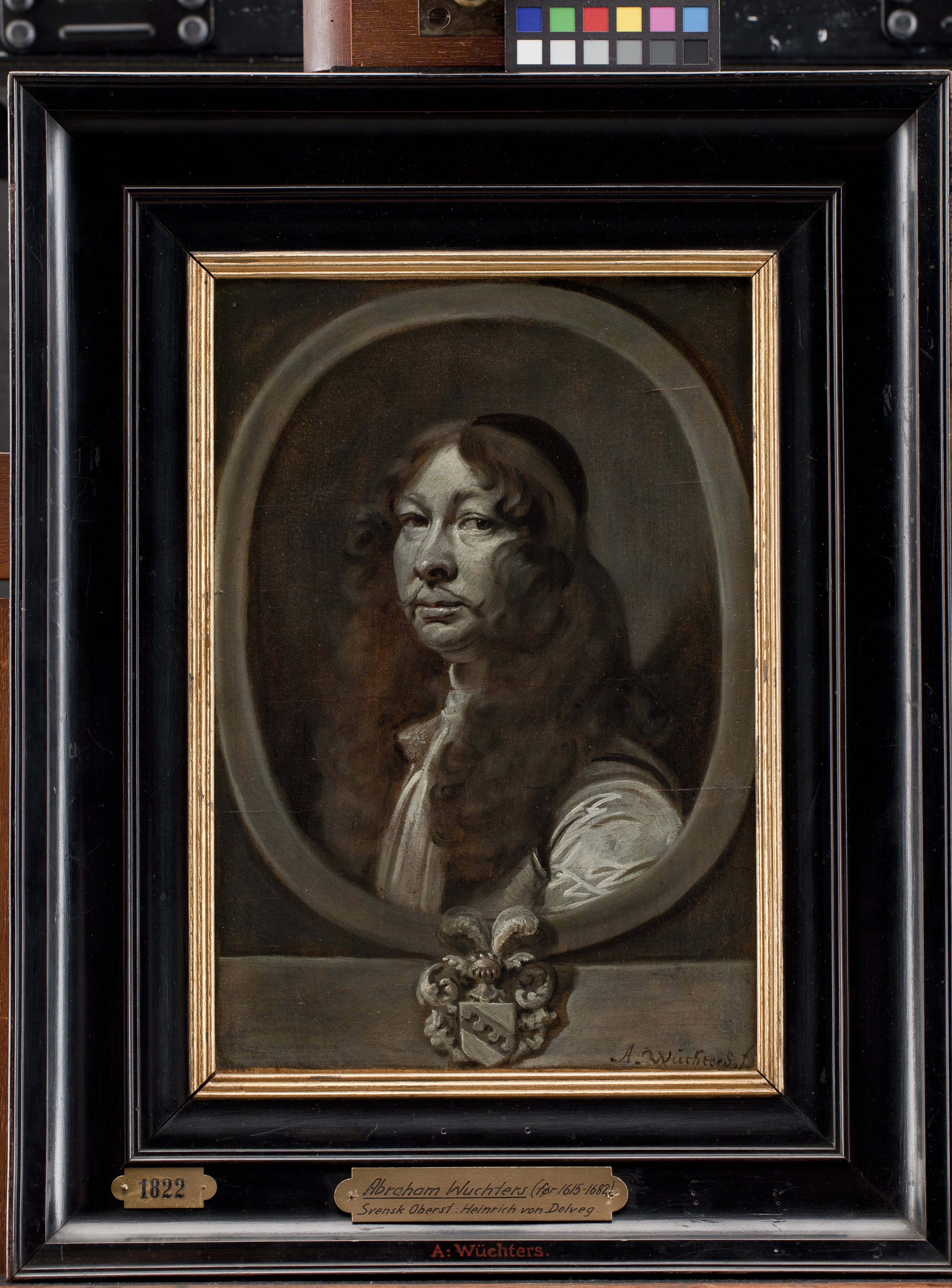 Heinrich von Delwig, Swedish Colonel