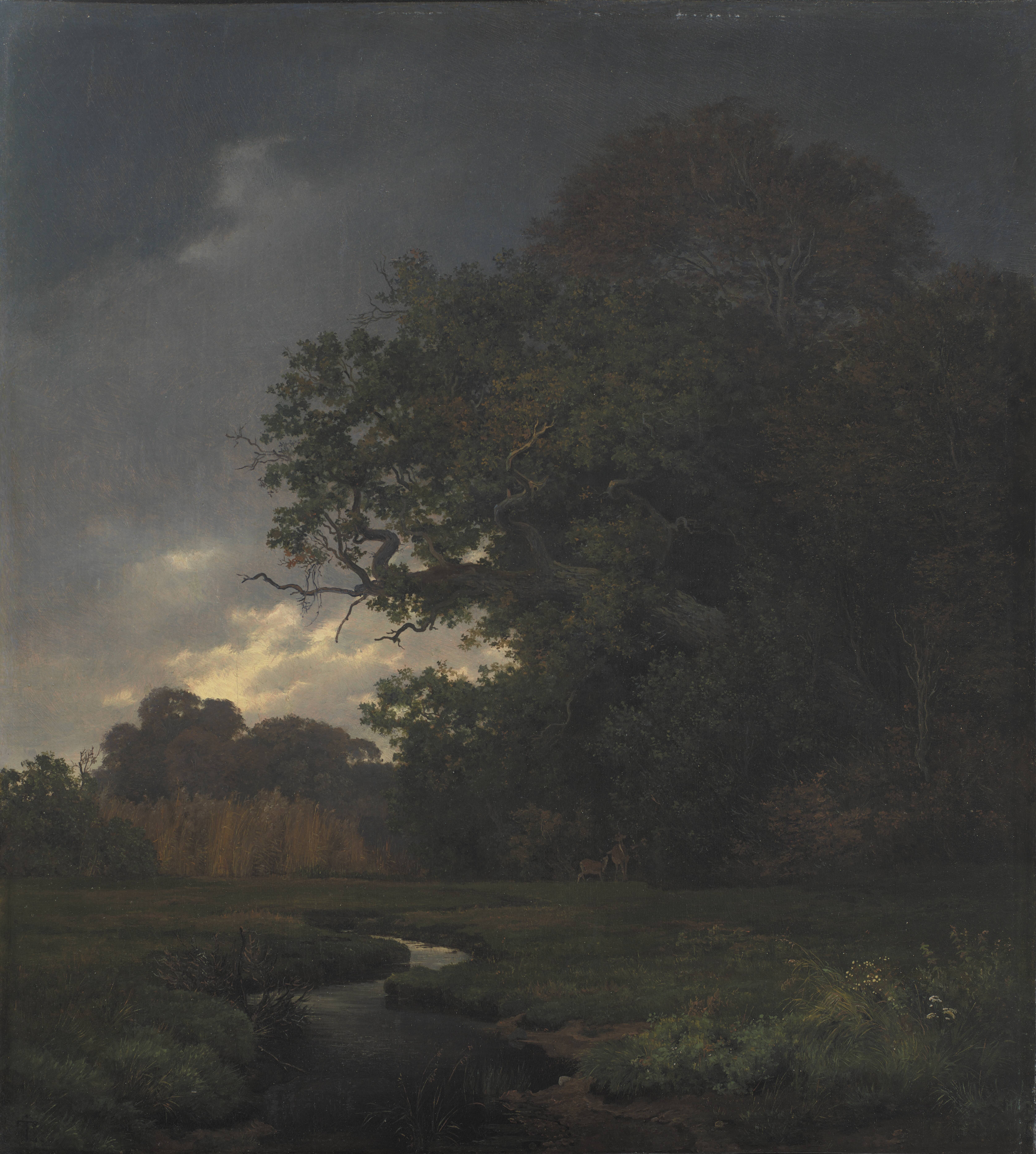 Landscape in Cloudy Weather. Late Afternoon