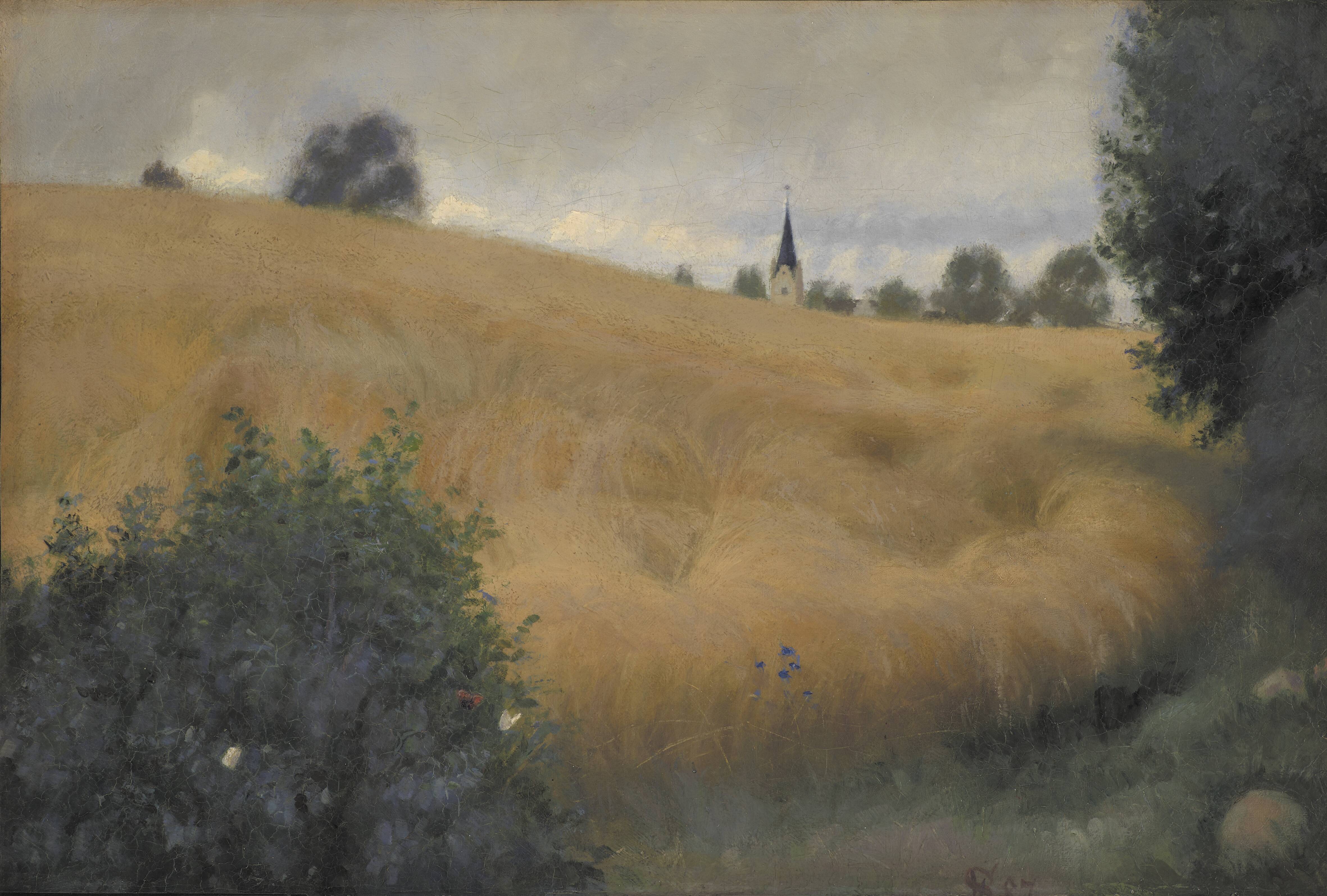 A Rye Field near Svanninge