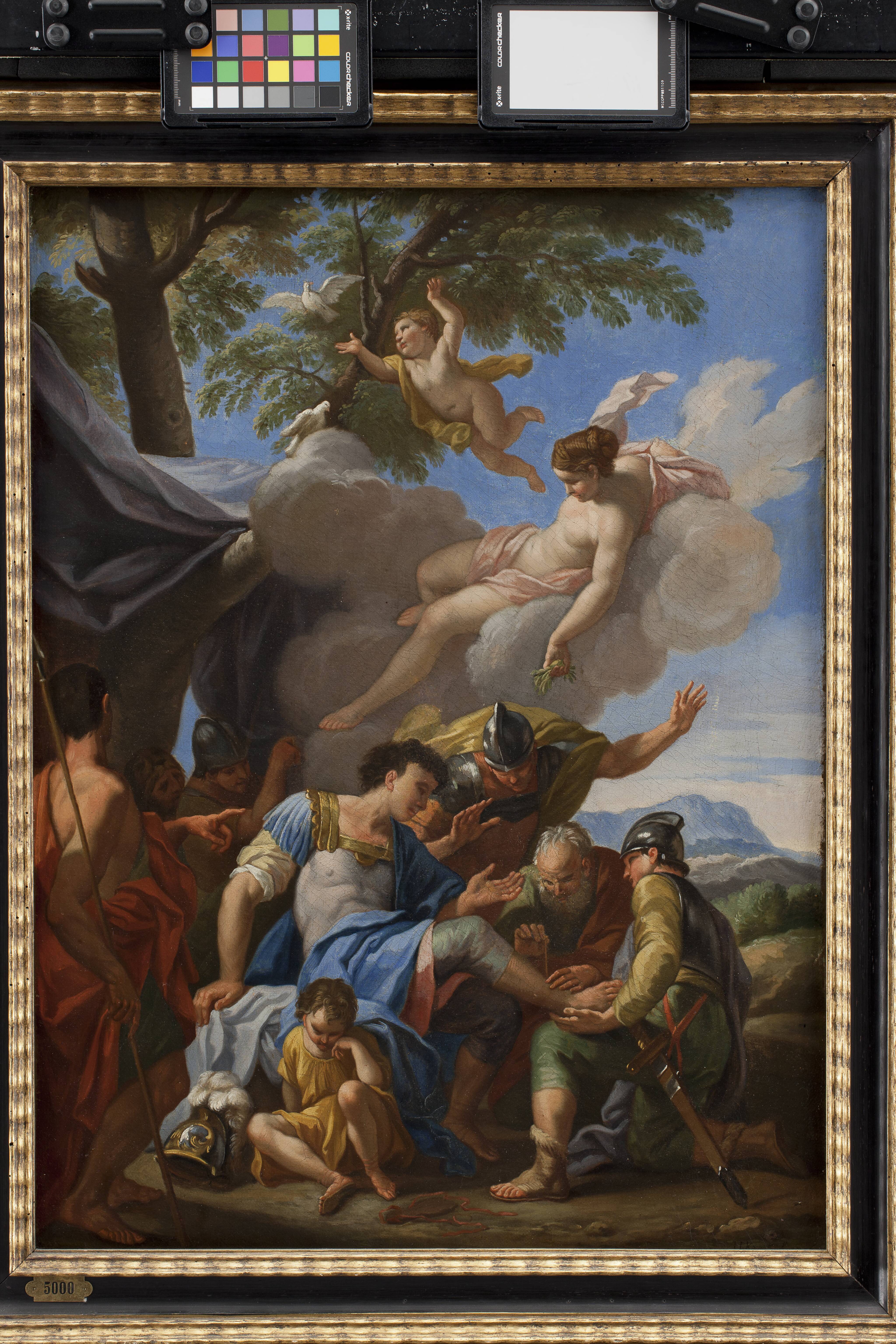 Venus Bringing Simples for the Wounded Aeneas