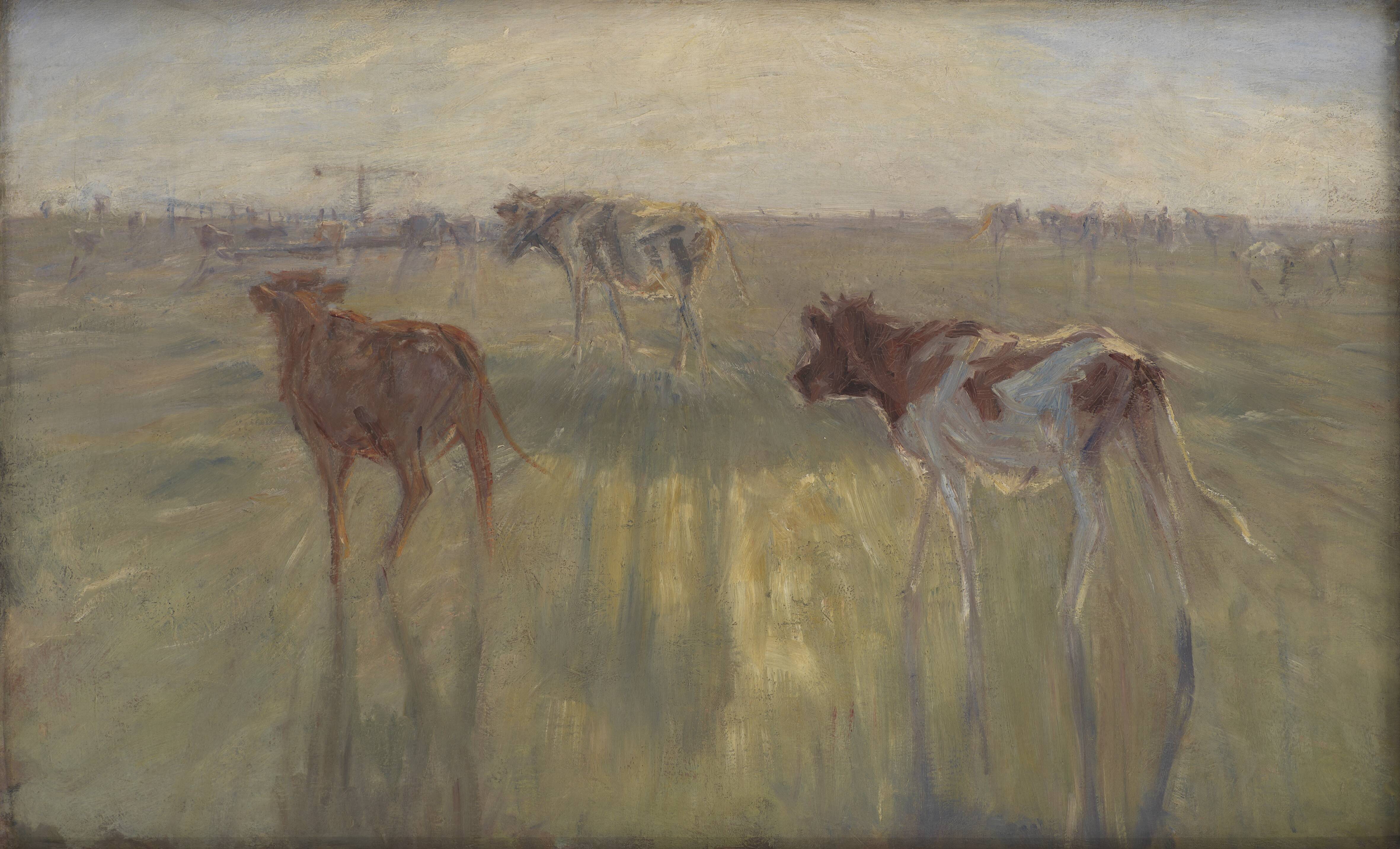 Cattle Seen against the Sun on the Island of Saltholm