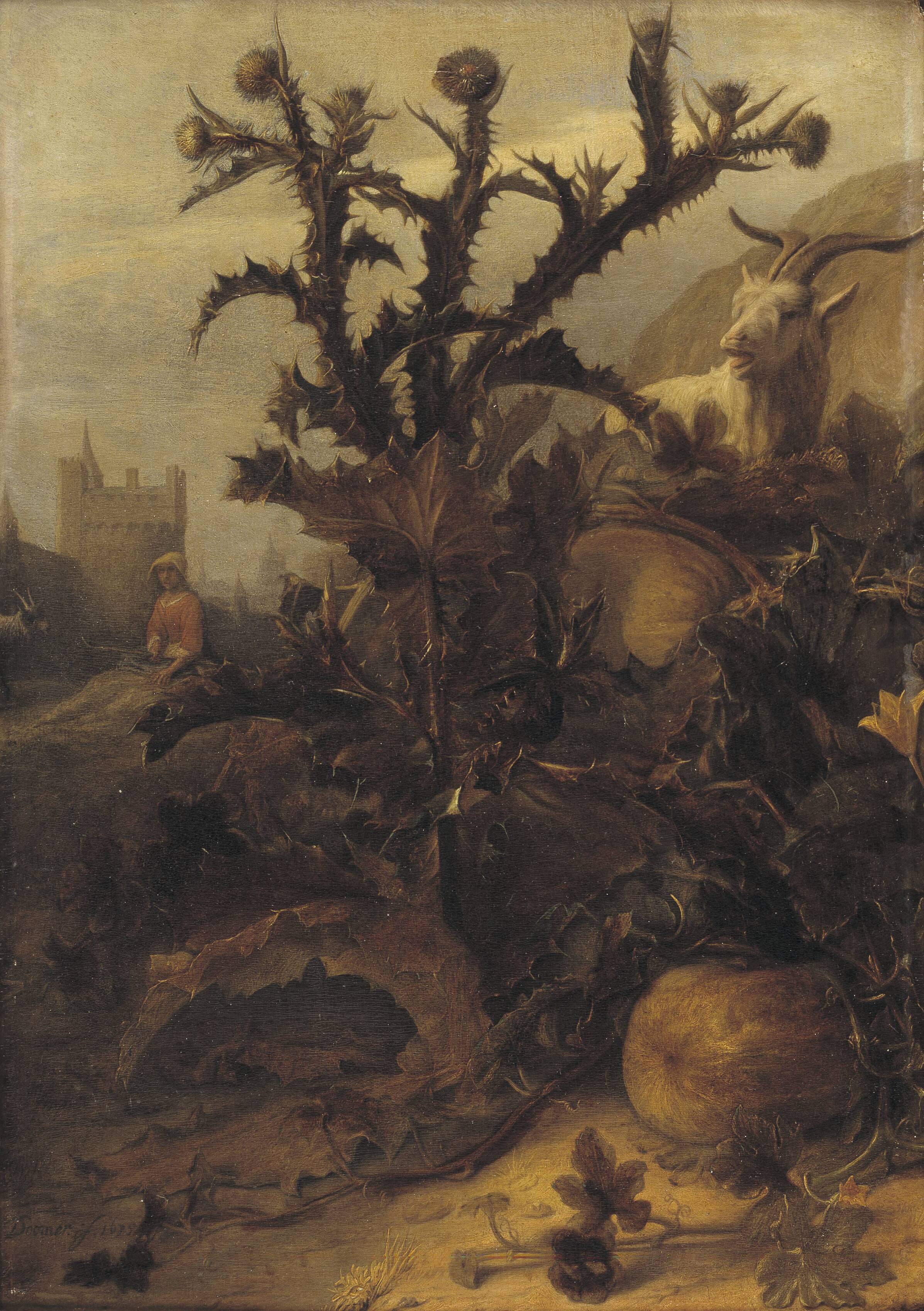 Thistle, Pumpkin and a Goat