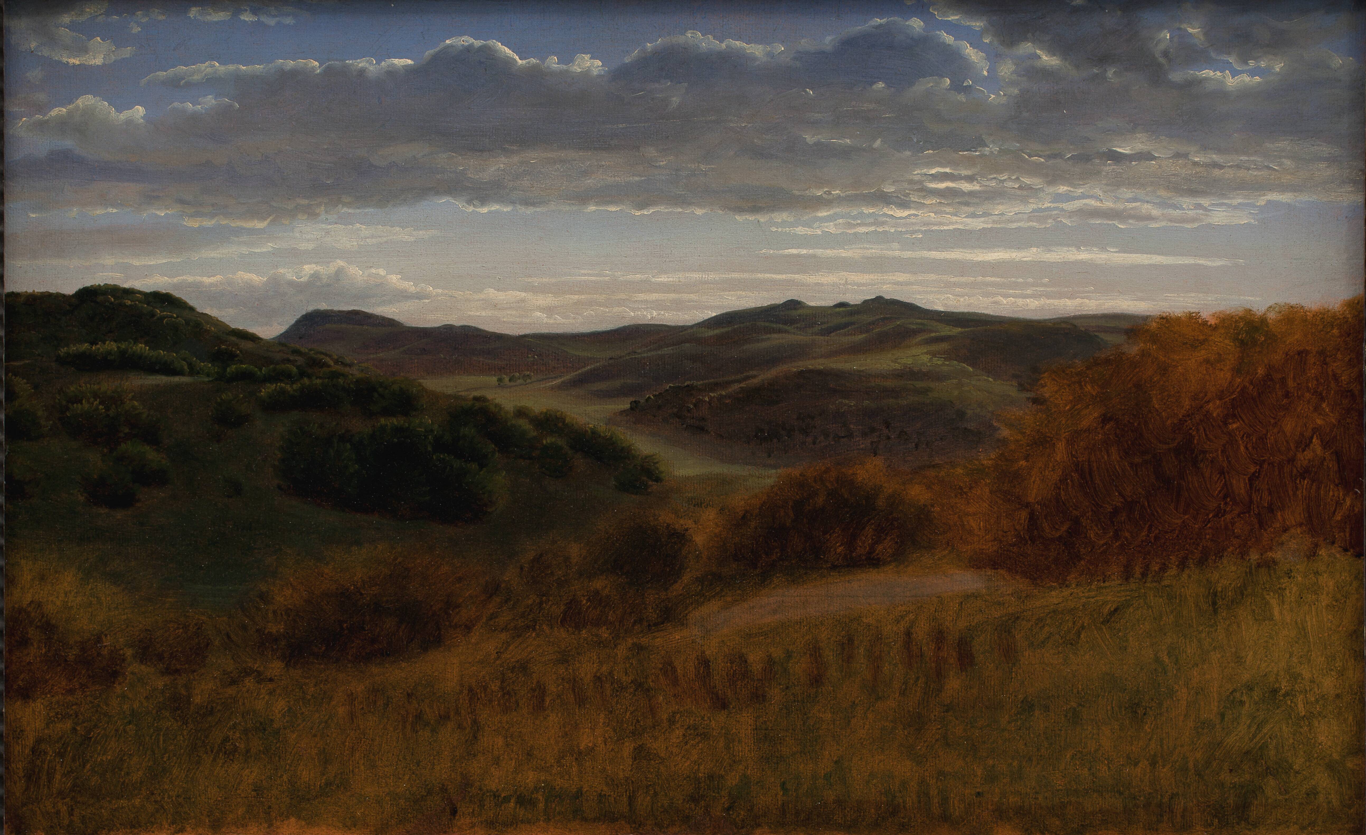 Hills behind the Møen Cliff