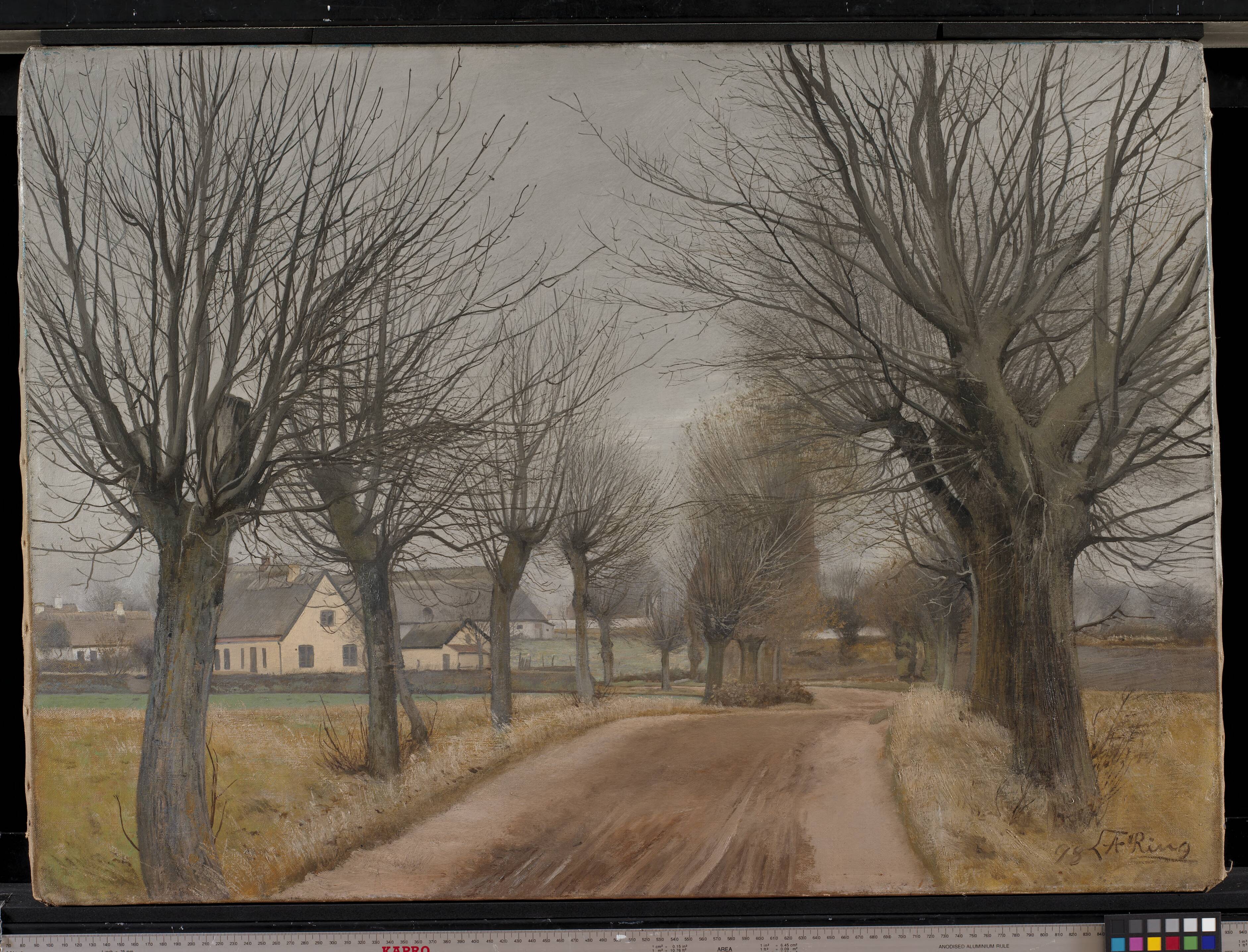 A Road near Vinderød, Zealand