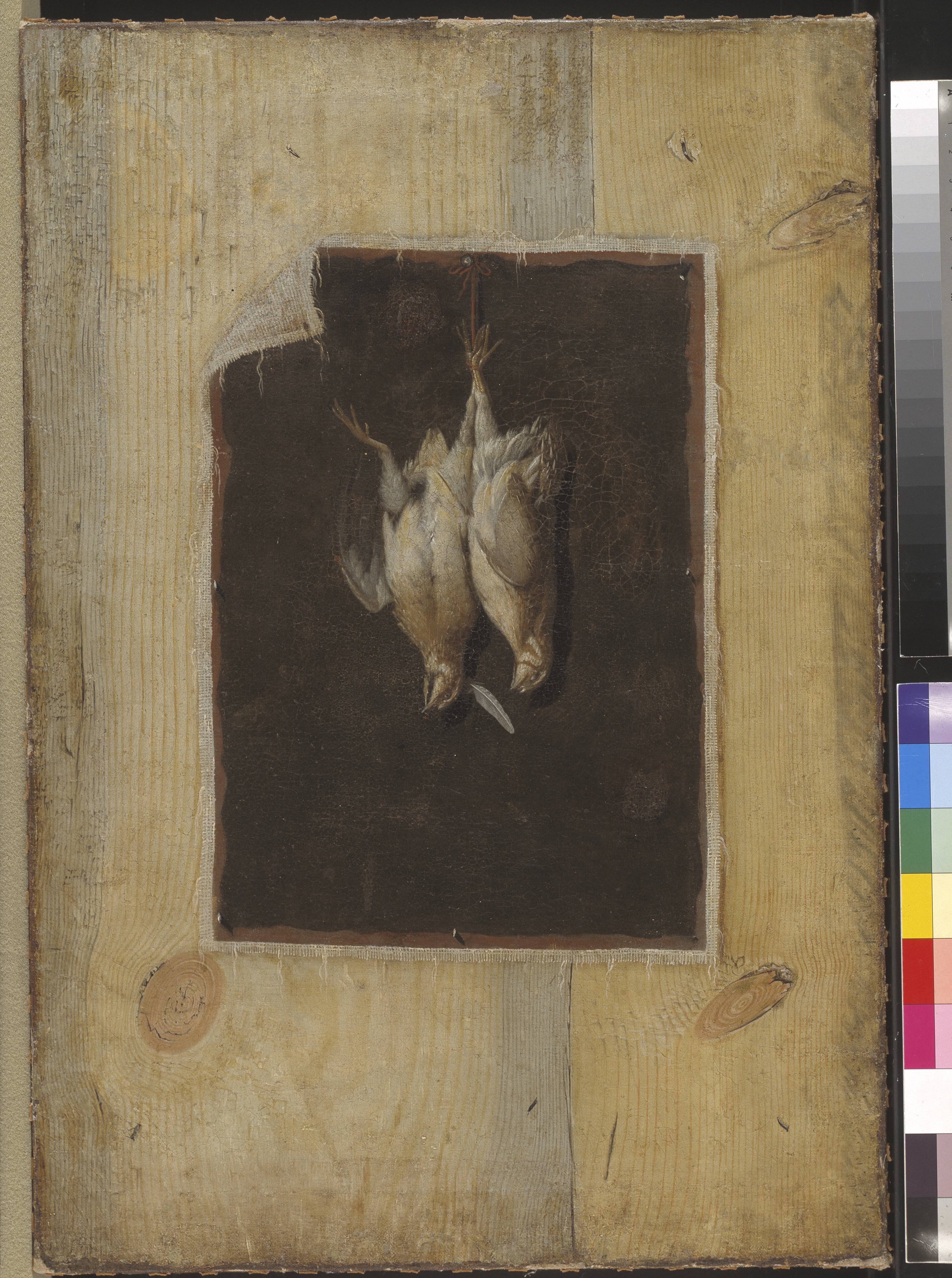 Trompe l'Oeil. Board Partition with a Still Life of Two Dead Birds Hanging on a Wall