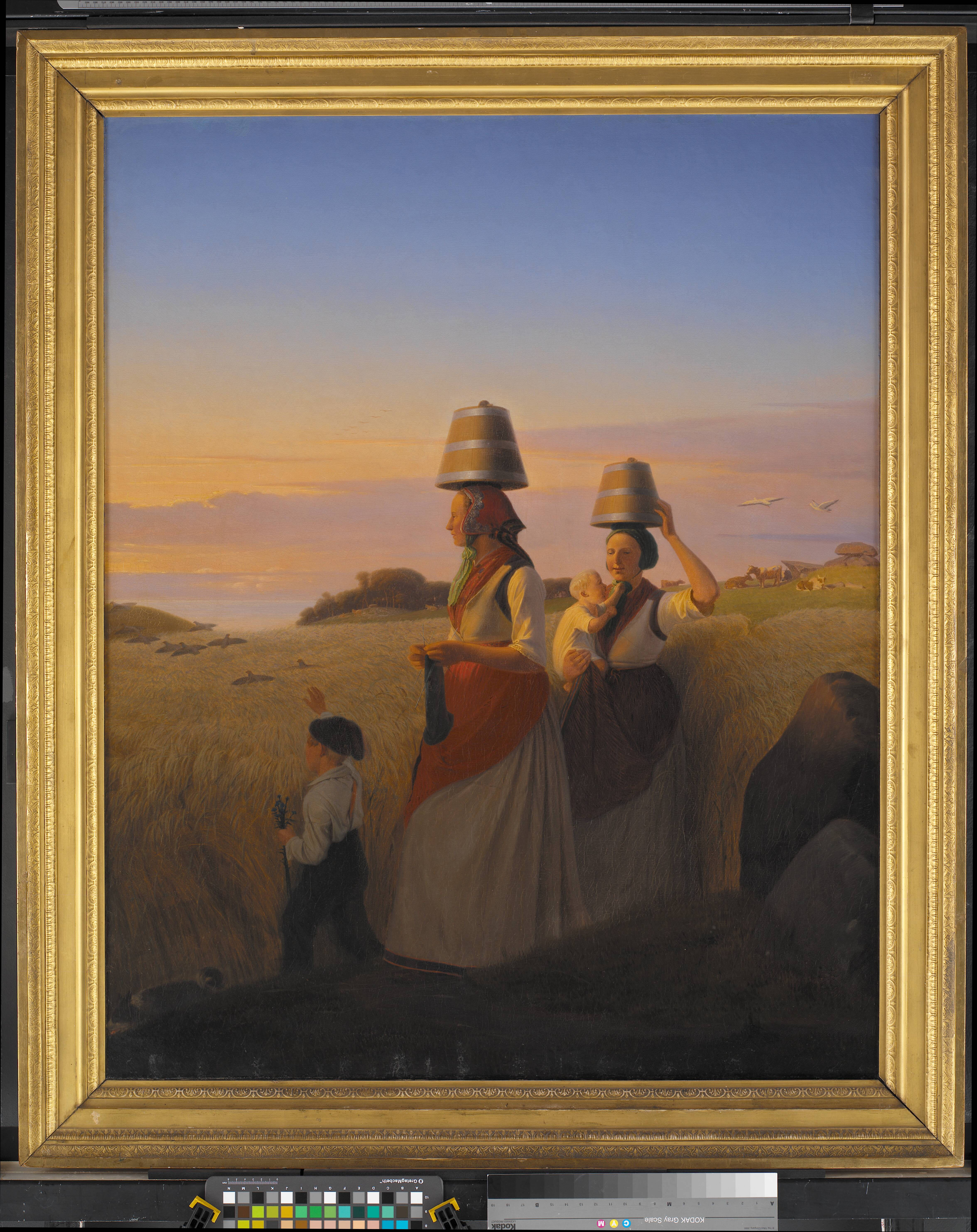 Rural Scene