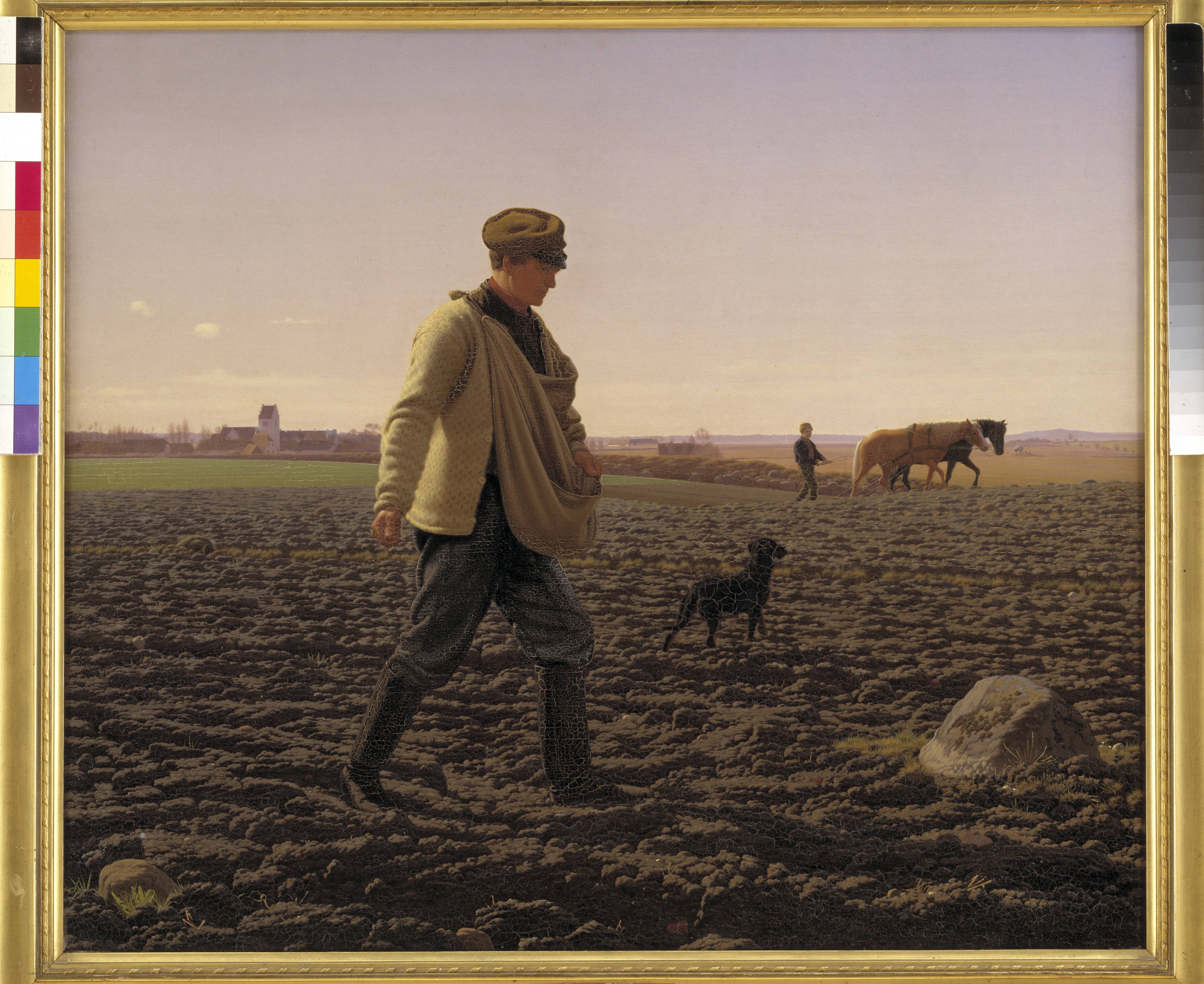 A Sower