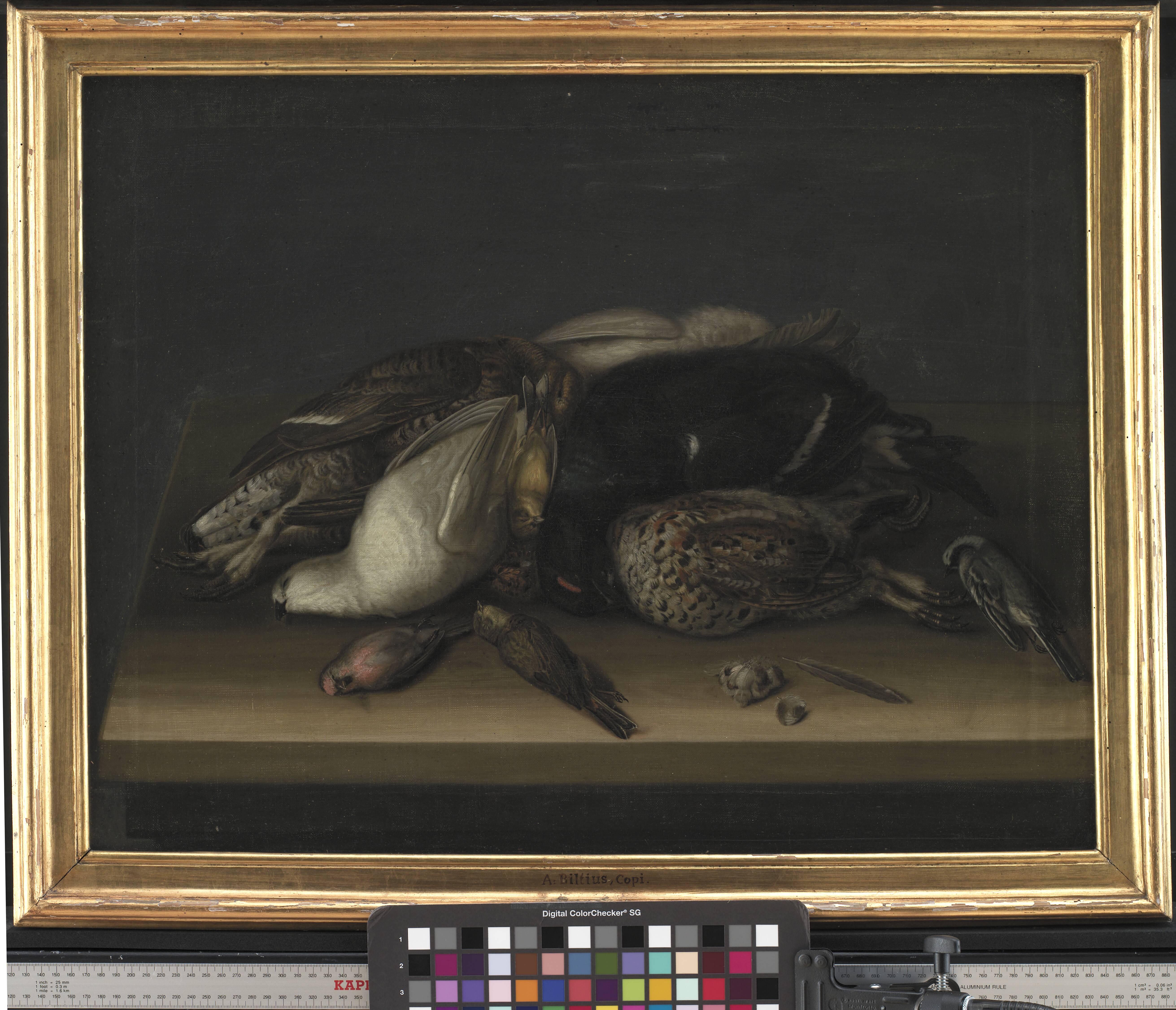 Wildfowl on a Wooden Table
