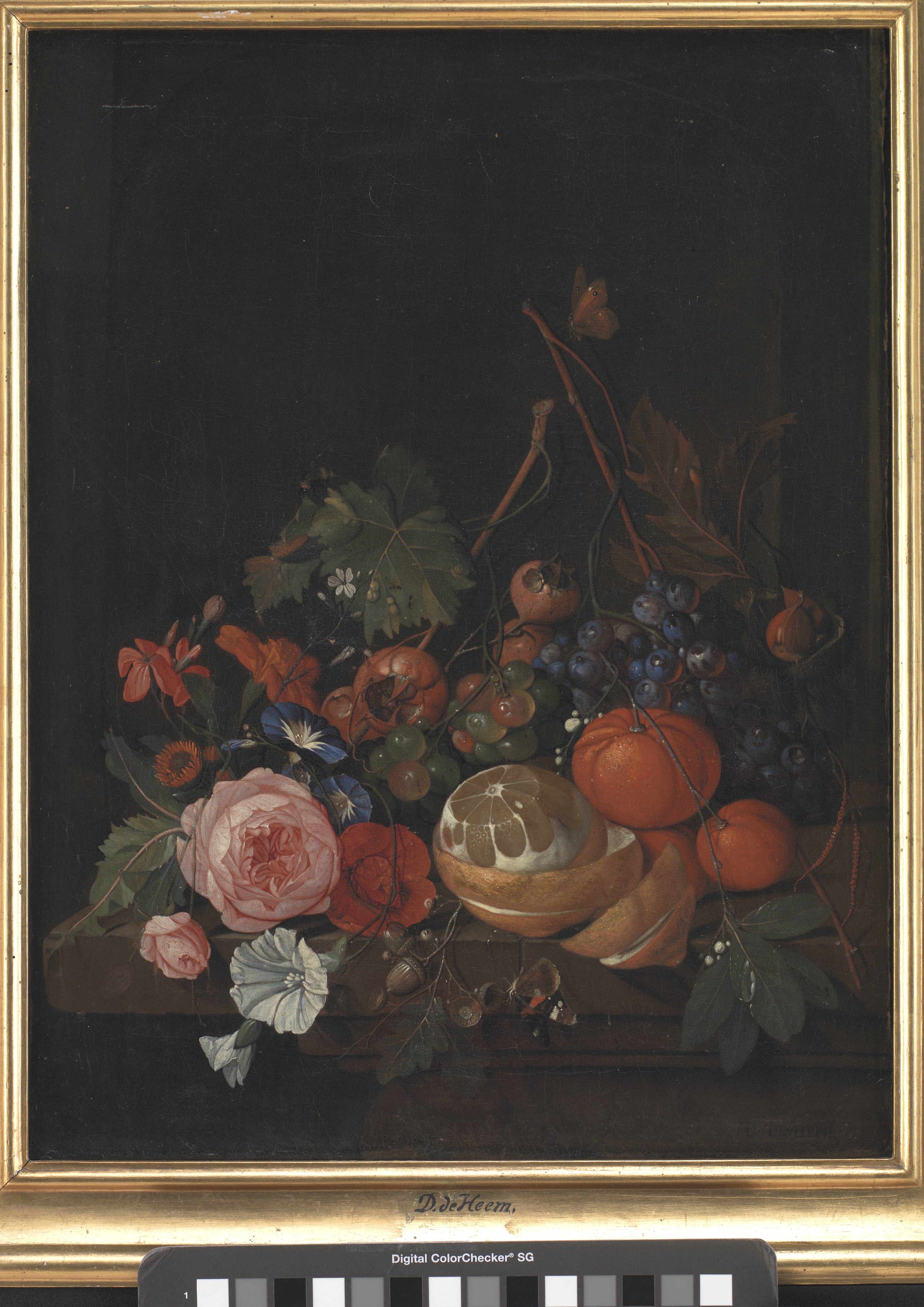 Flowers and Fruit