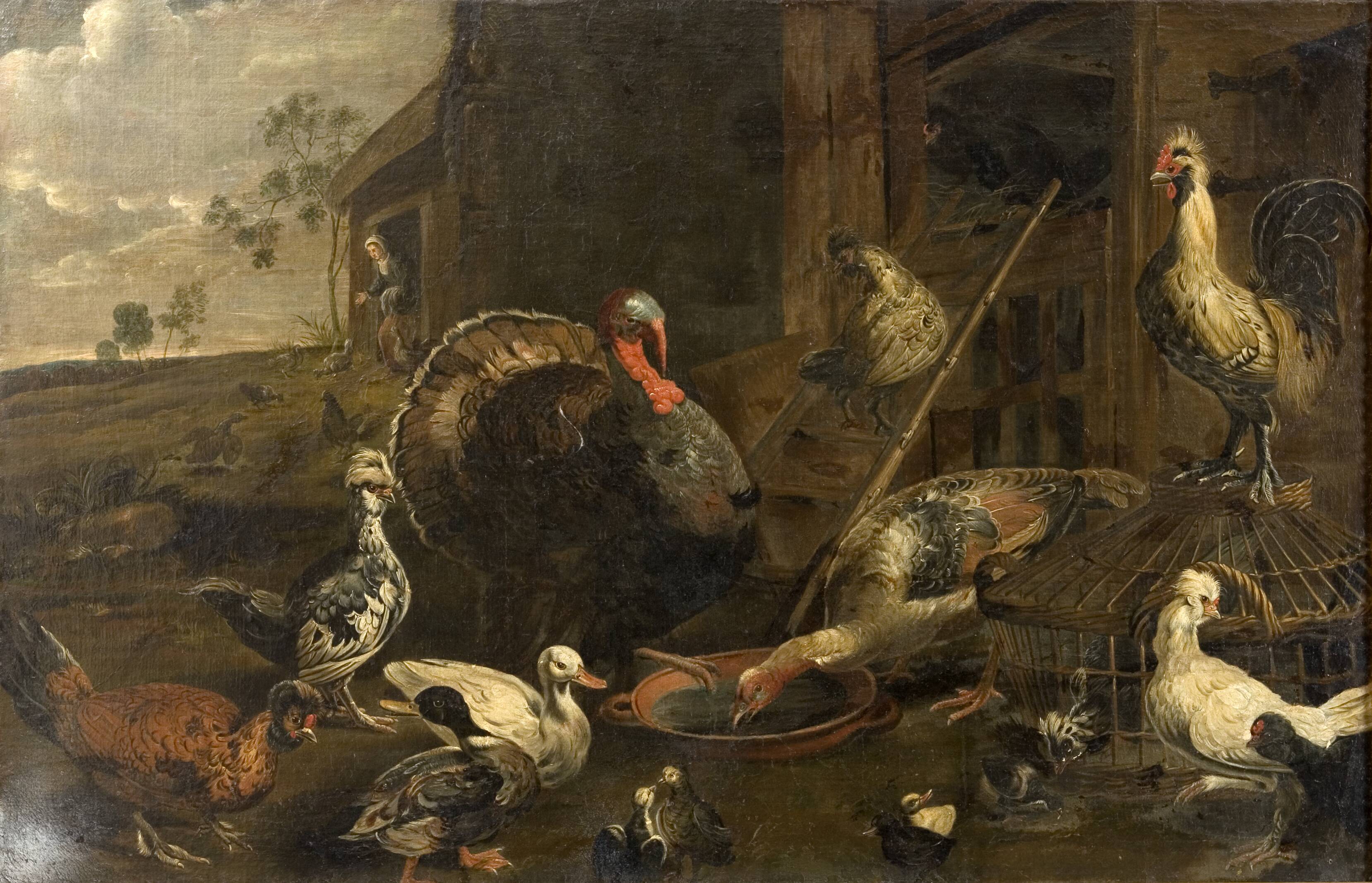 Hens, Ducks and a Turkey Cock