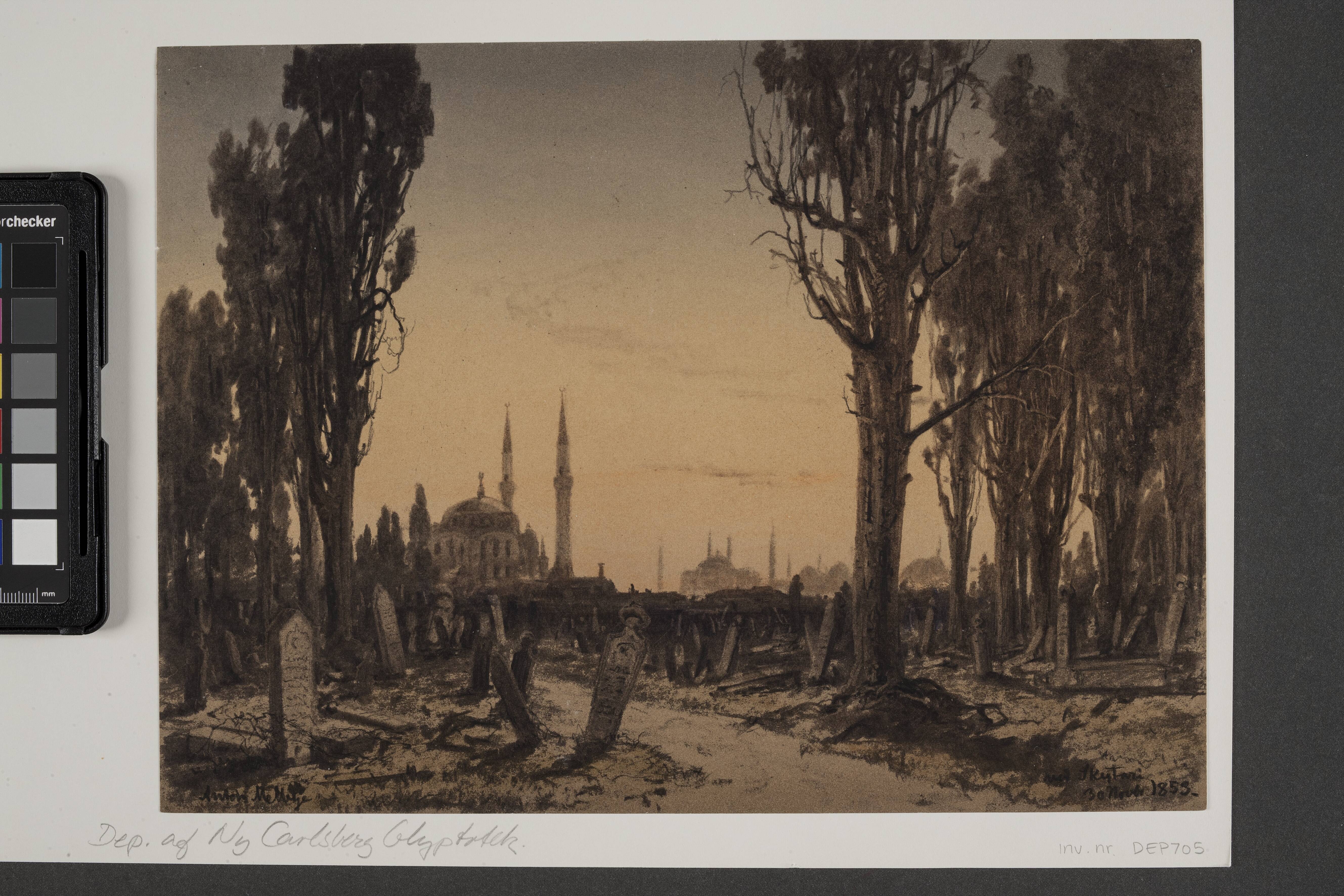 Turkish Cemetary. Scutari