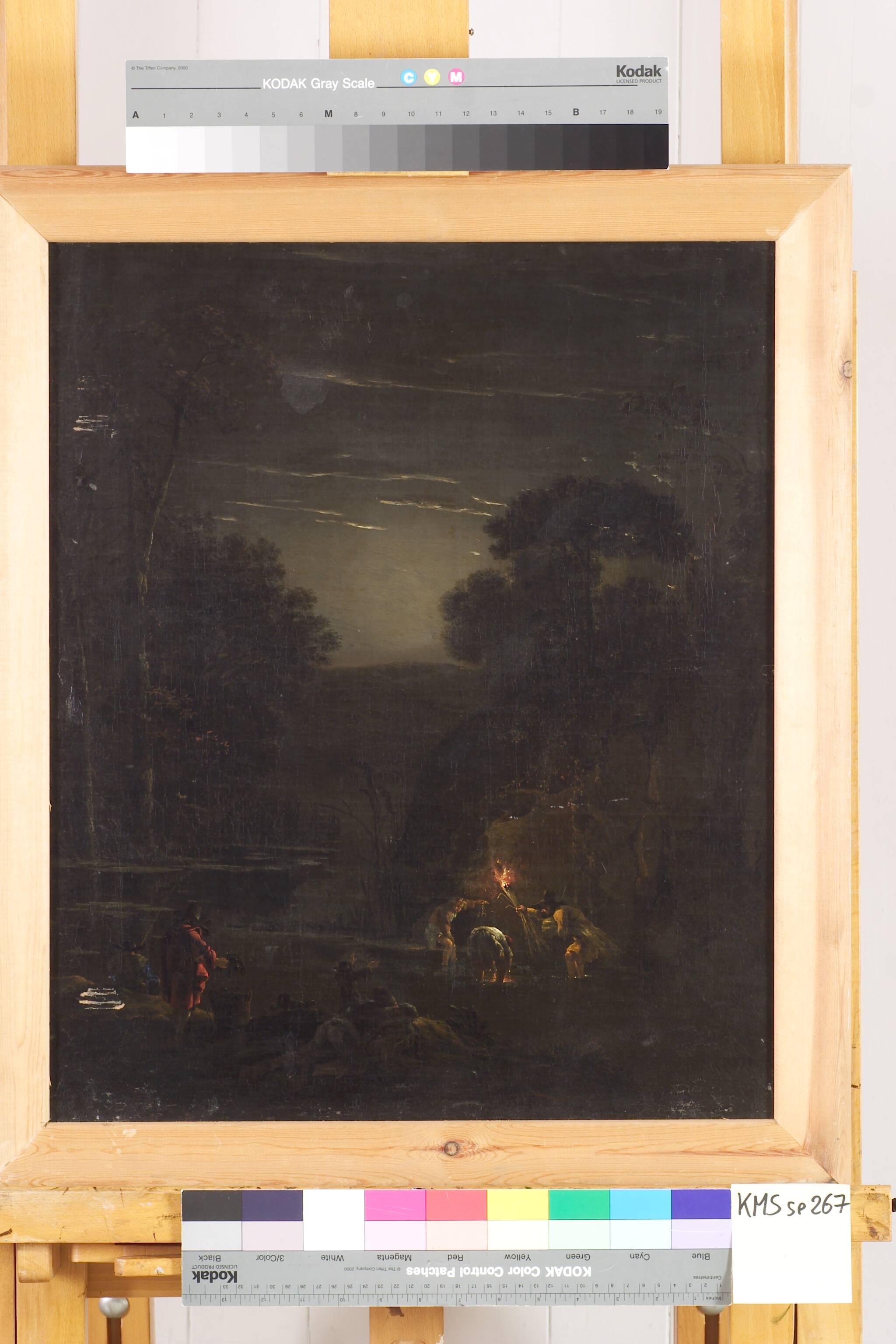 Nocturnal Crayfishing