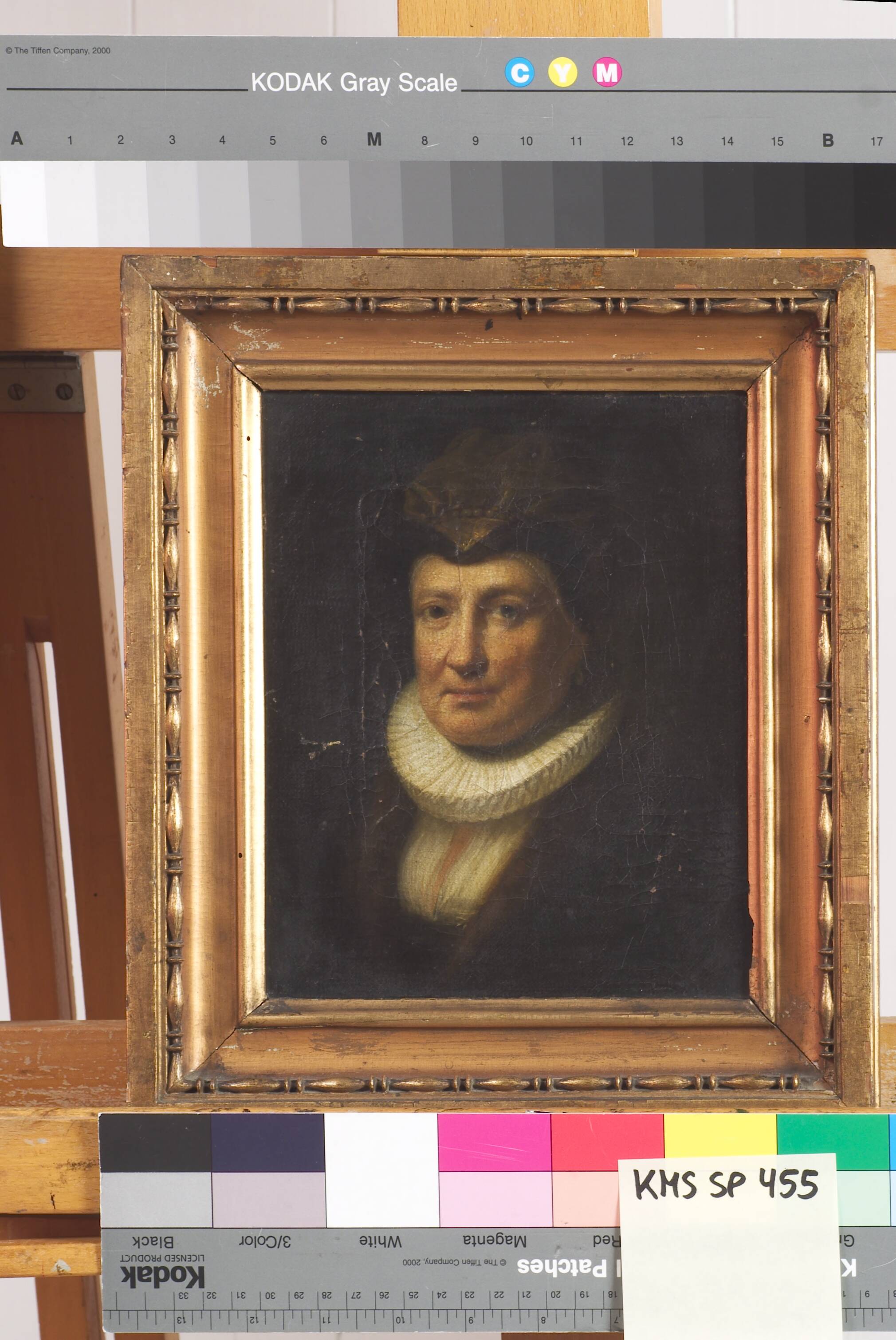 Portrait of the Artist's Mother
