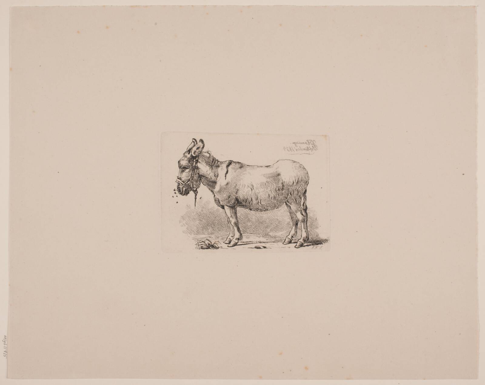 Et æsel, plaget af fluer, Johan Thomas Lundbye, 1834