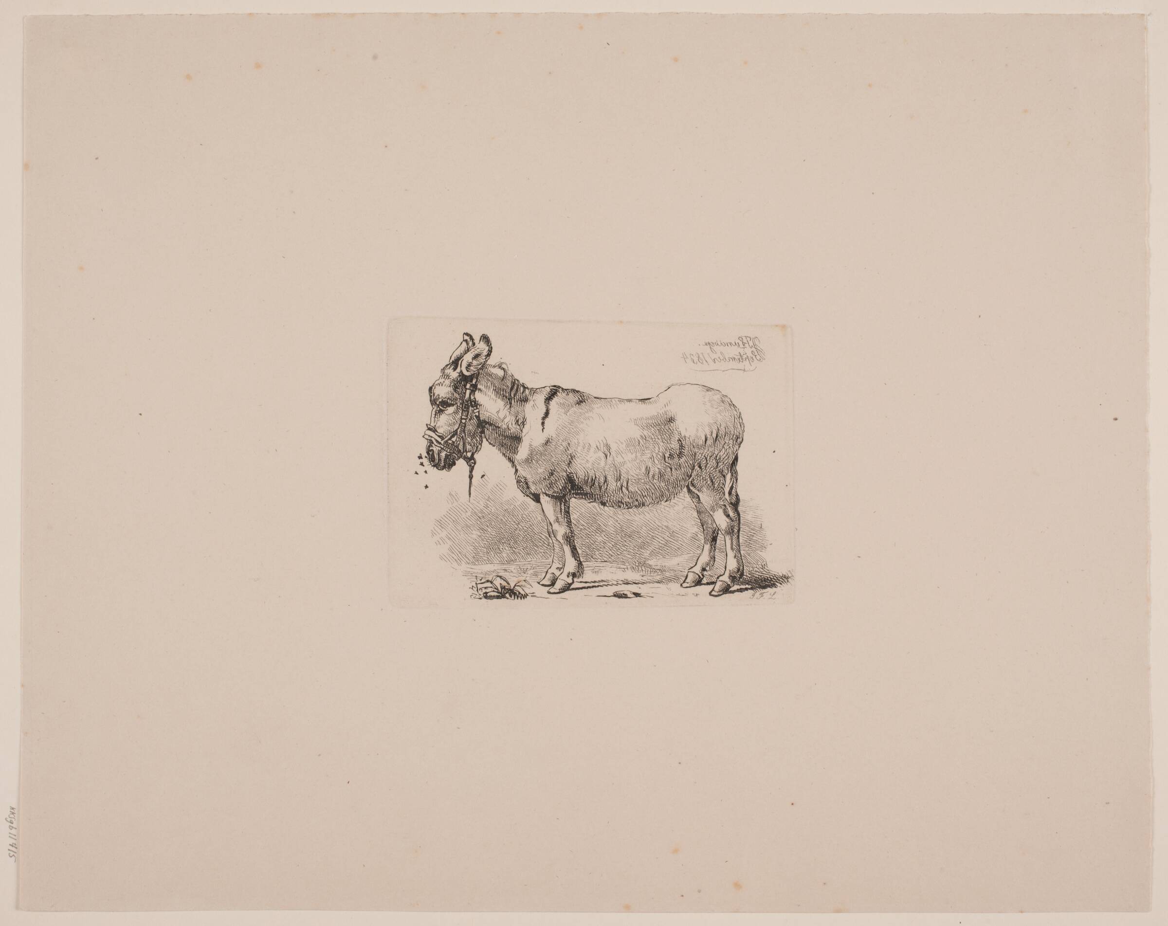 Et æsel, plaget af fluer, Johan Thomas Lundbye, 1834