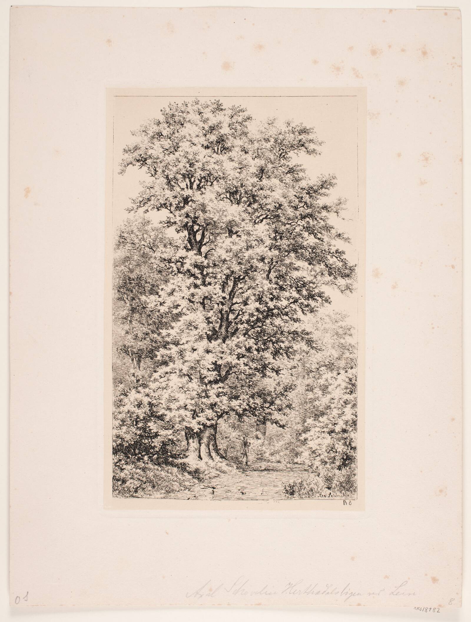 Herthadalbøgen. Lejre, Axel Schovelin, 1887