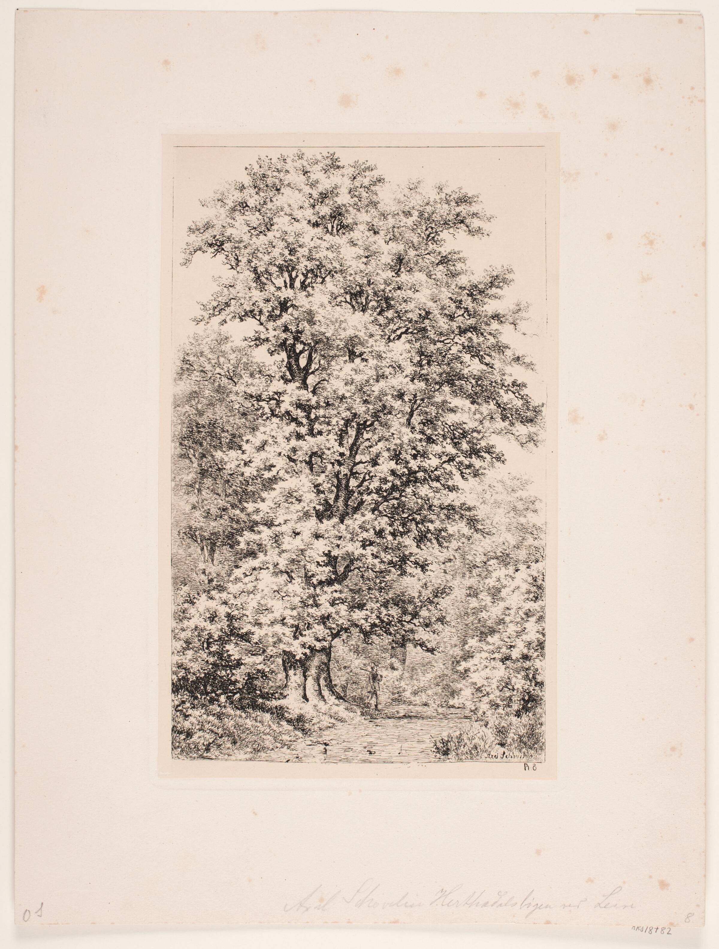 Herthadalbøgen. Lejre, Axel Schovelin, 1887