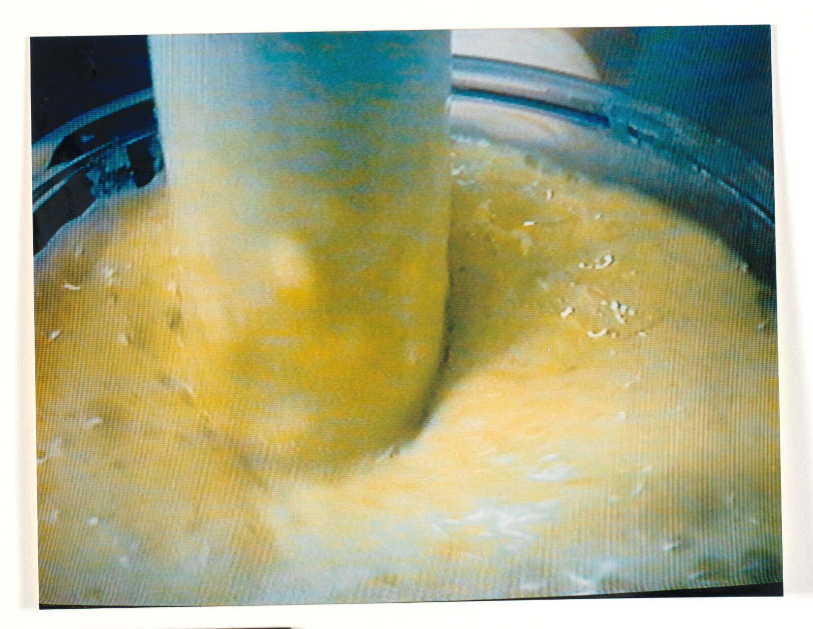 Labotik, Anja Franke, 1995
