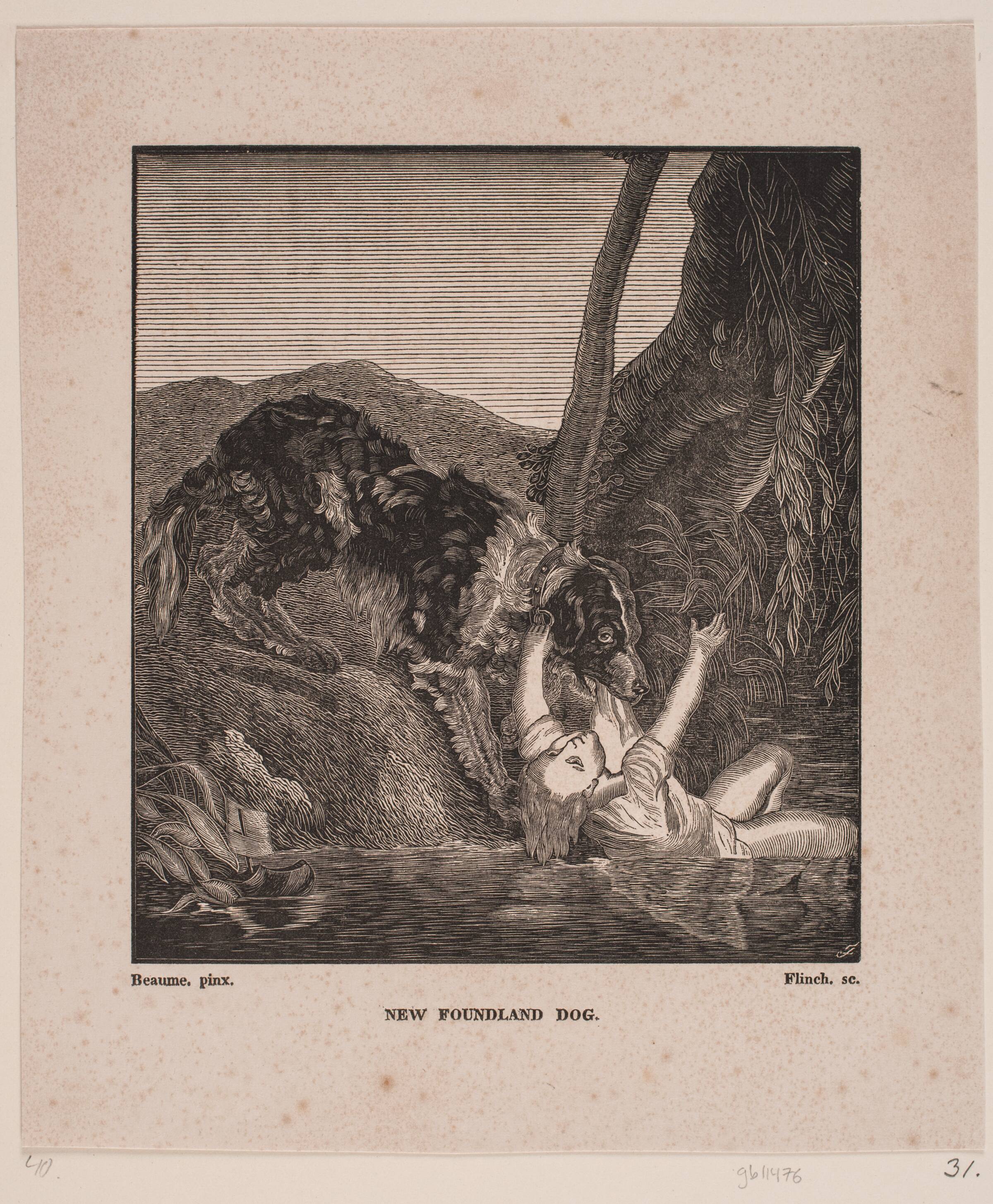 New Foundland dog, Andreas Flinch, 1813-1872