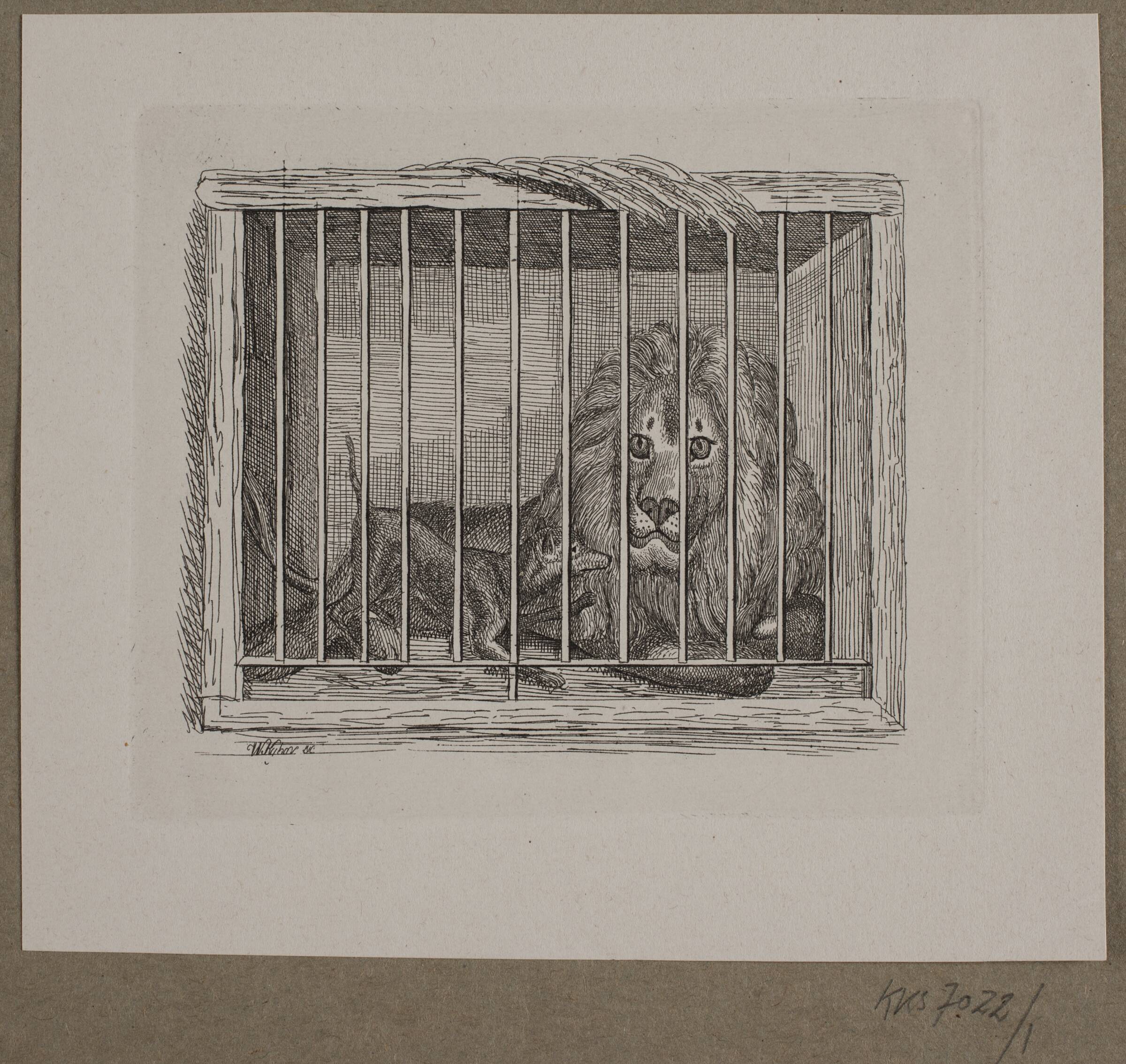 Illustration til O. Specter, "Fabler for Børn", Vilhelm Kyhn, 1838