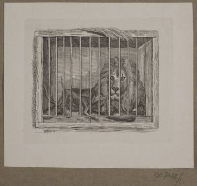 Illustration til O. Specter, "Fabler for Børn"