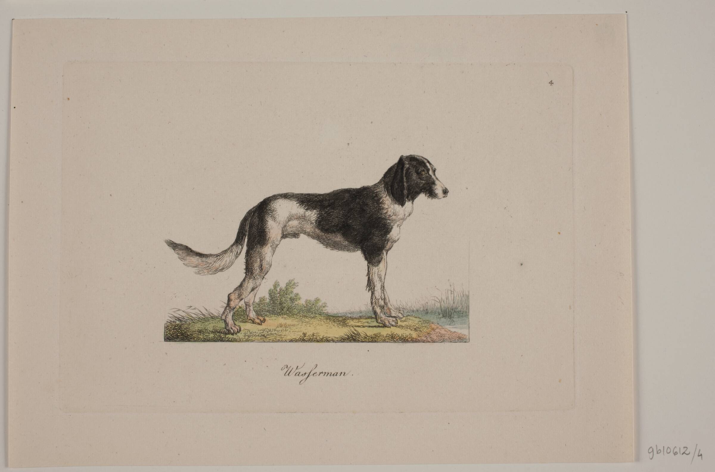 Wasferman, Christian David Gebauer, 1821