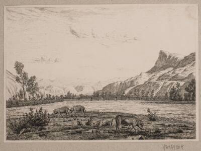 Bjergegn i Tyrol