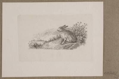 Illustration til O. Specter, "Fabler for Børn"