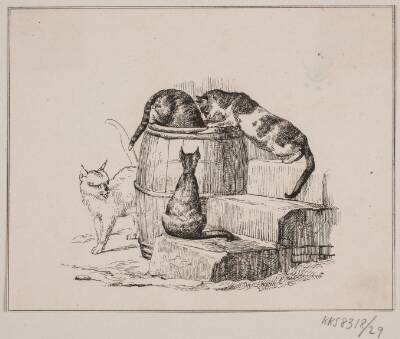Kattene