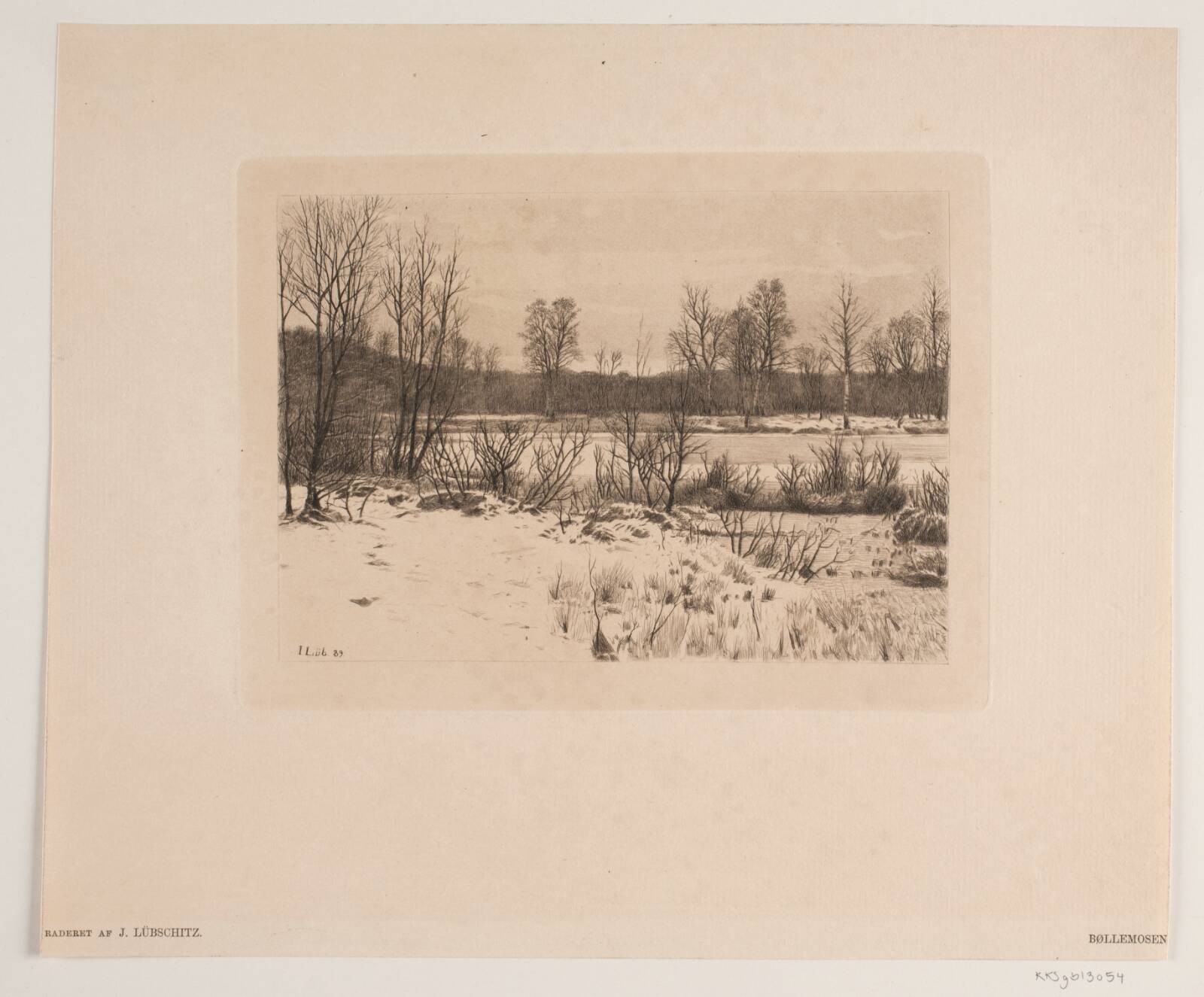 Bøllemosen, John Lübschitz, 1889