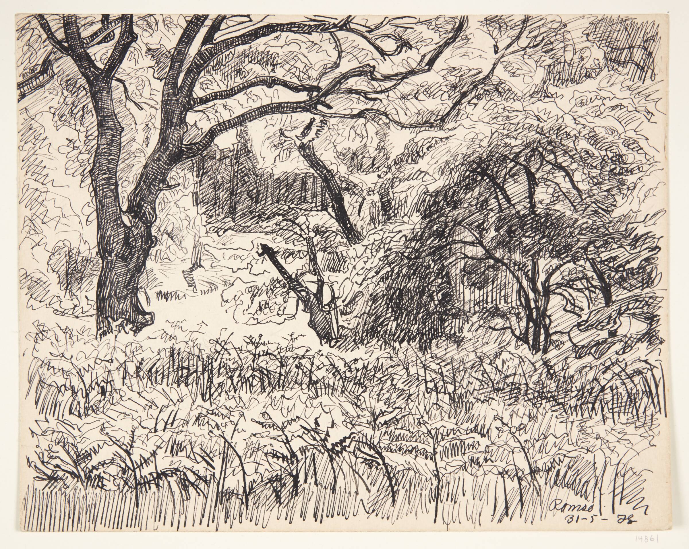Skovlandskab. Romsø, Johannes Larsen, 1921