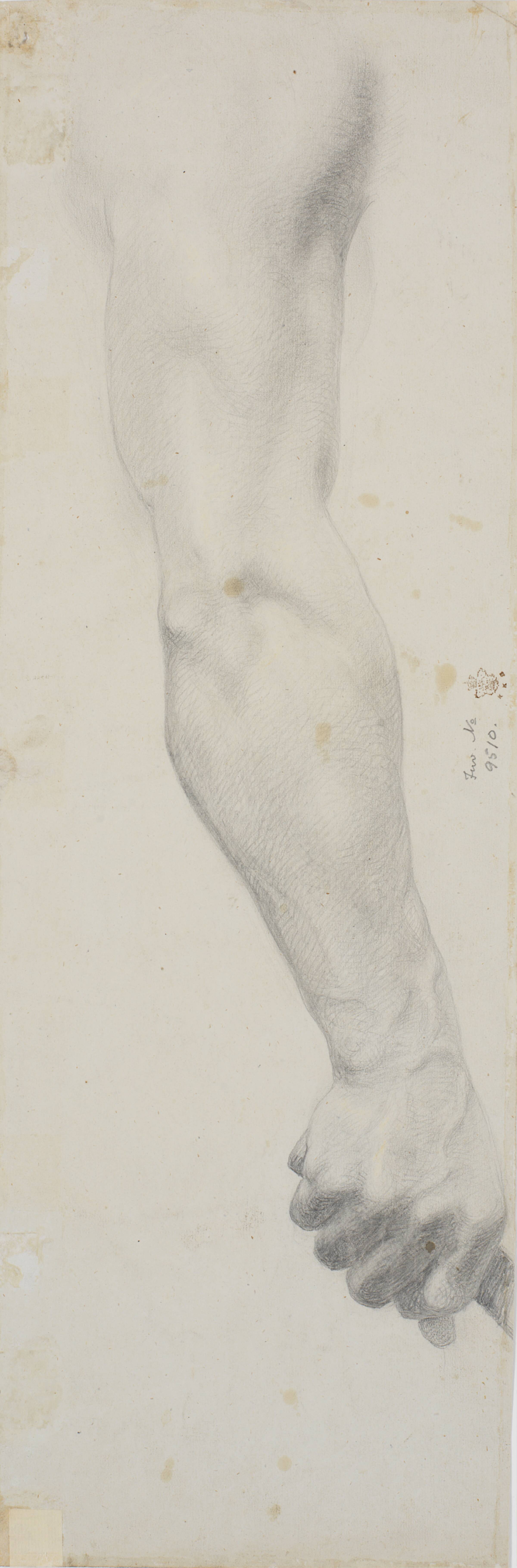 Studie af mandlig højre arm, Theodor Philipsen, 1860-1864