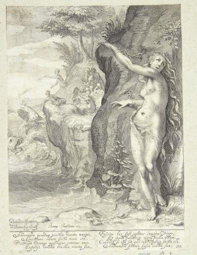 Andromeda