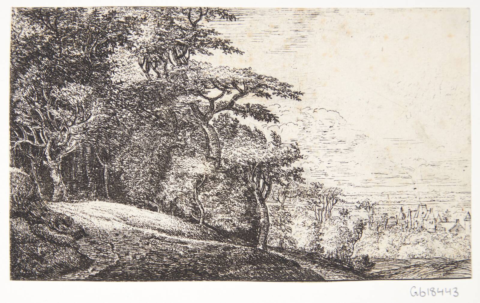 Et skovbryn, Jan Ruyscher, 1625-1674