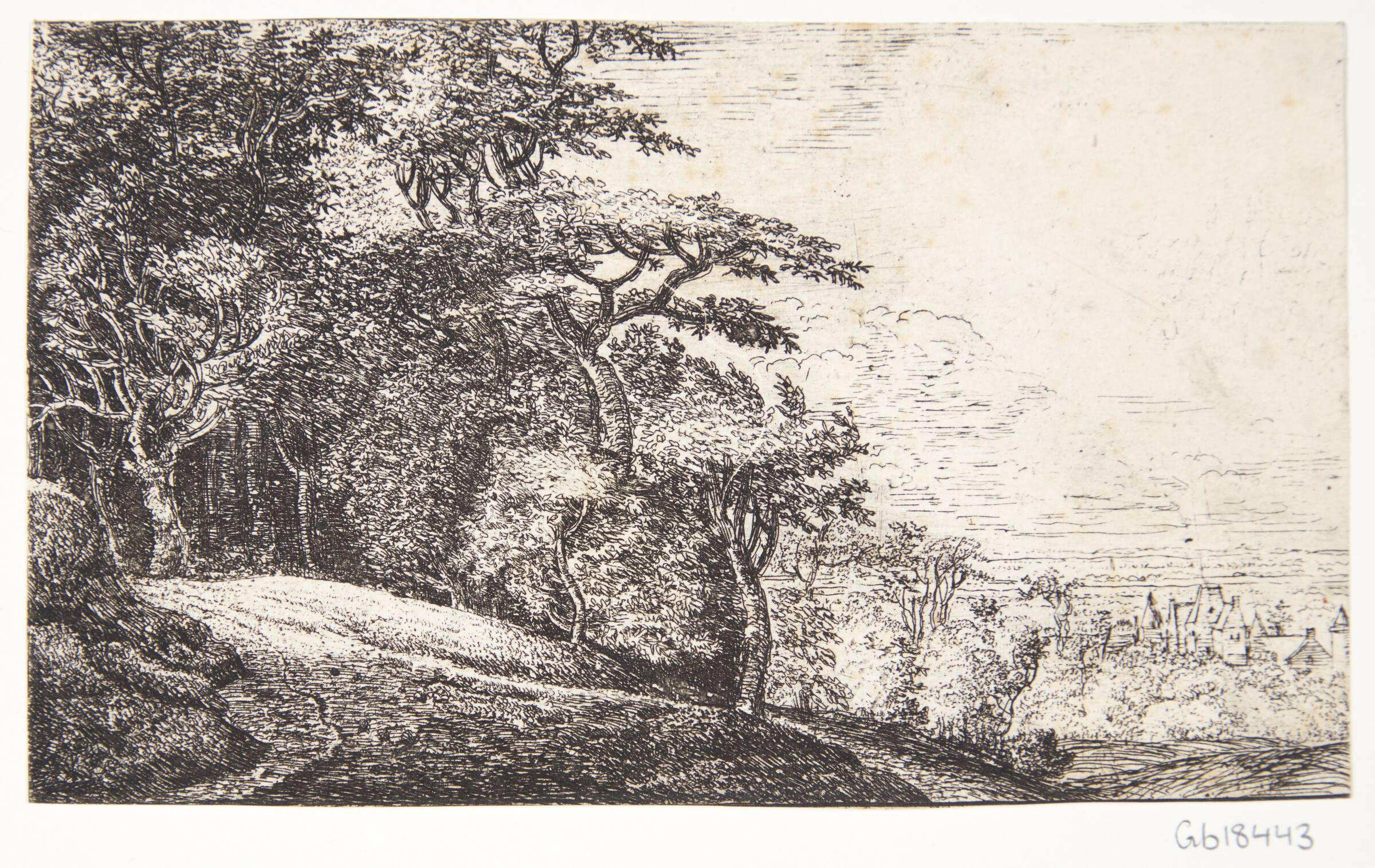 Et skovbryn, Jan Ruyscher, 1625-1674