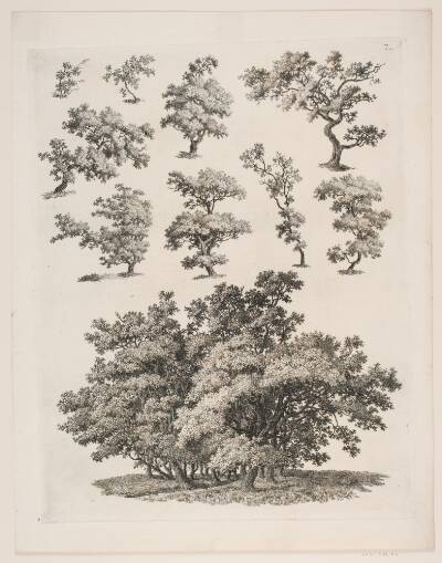 "Studier efter Naturen med Hensyn til Landskabstegning af S.H. Petersen", nr. 7