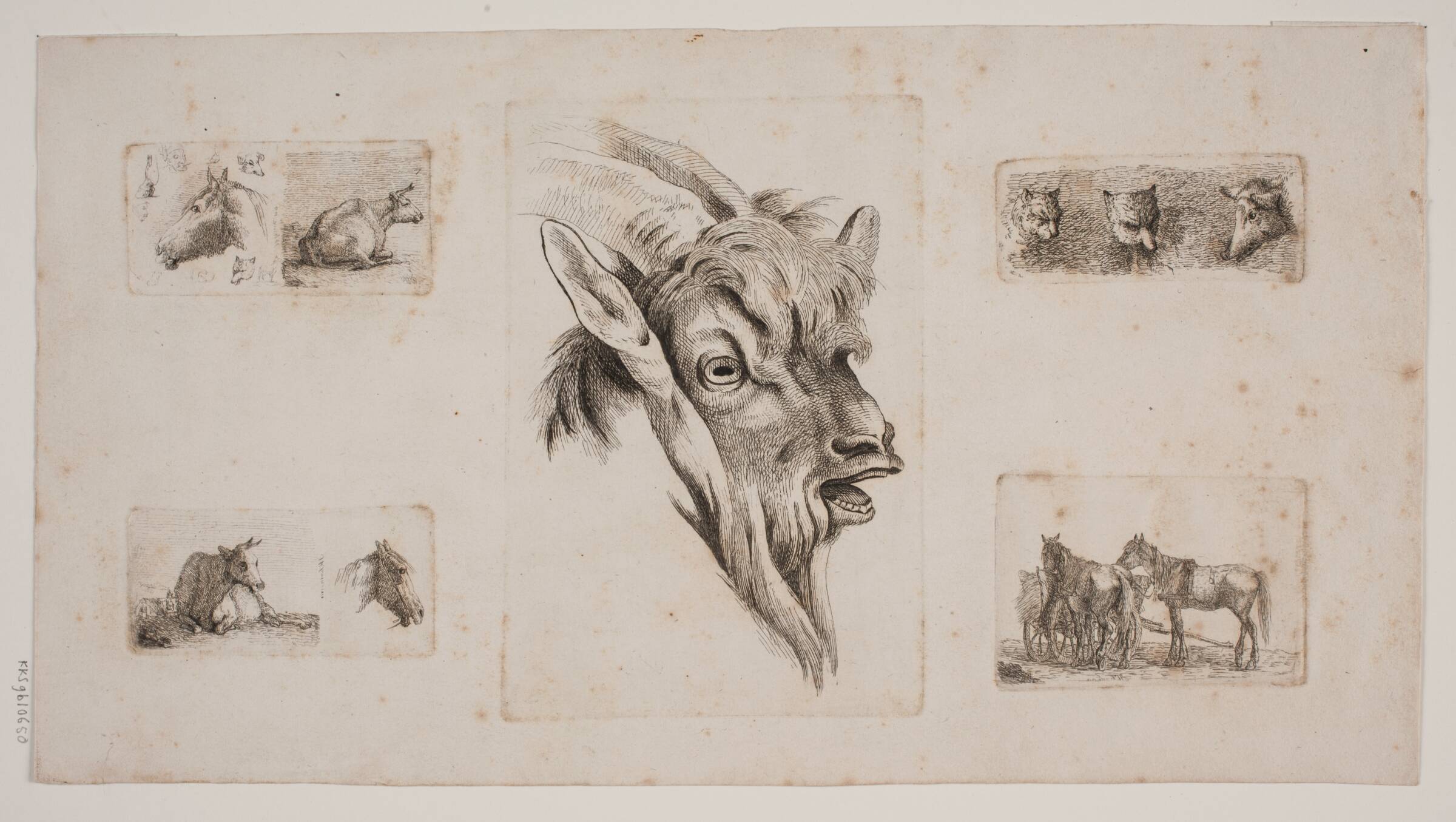 Heste, køer, katte og et gedehoved. Prøveblad med fem raderinger, Jørgen V. Sonne, 1818