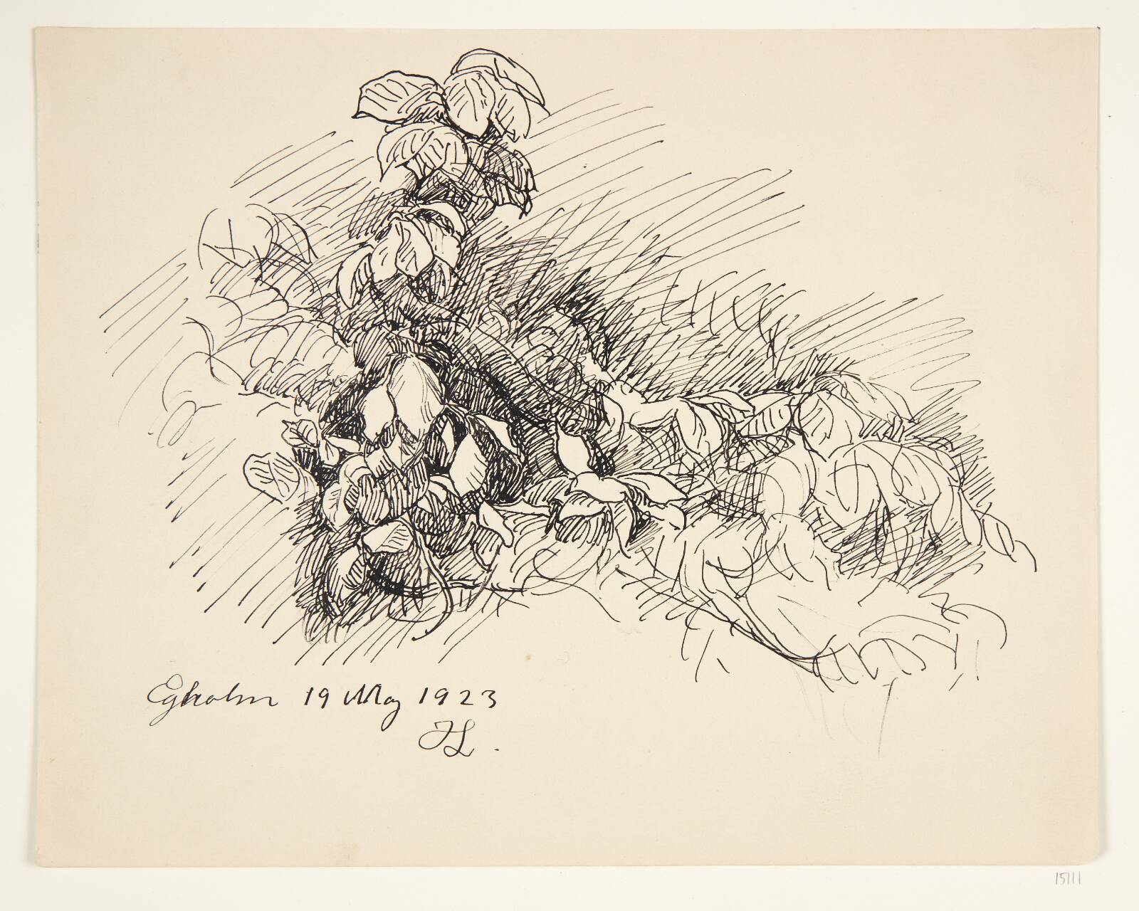Plantemotiv. Egholm, Johannes Larsen, 1923
